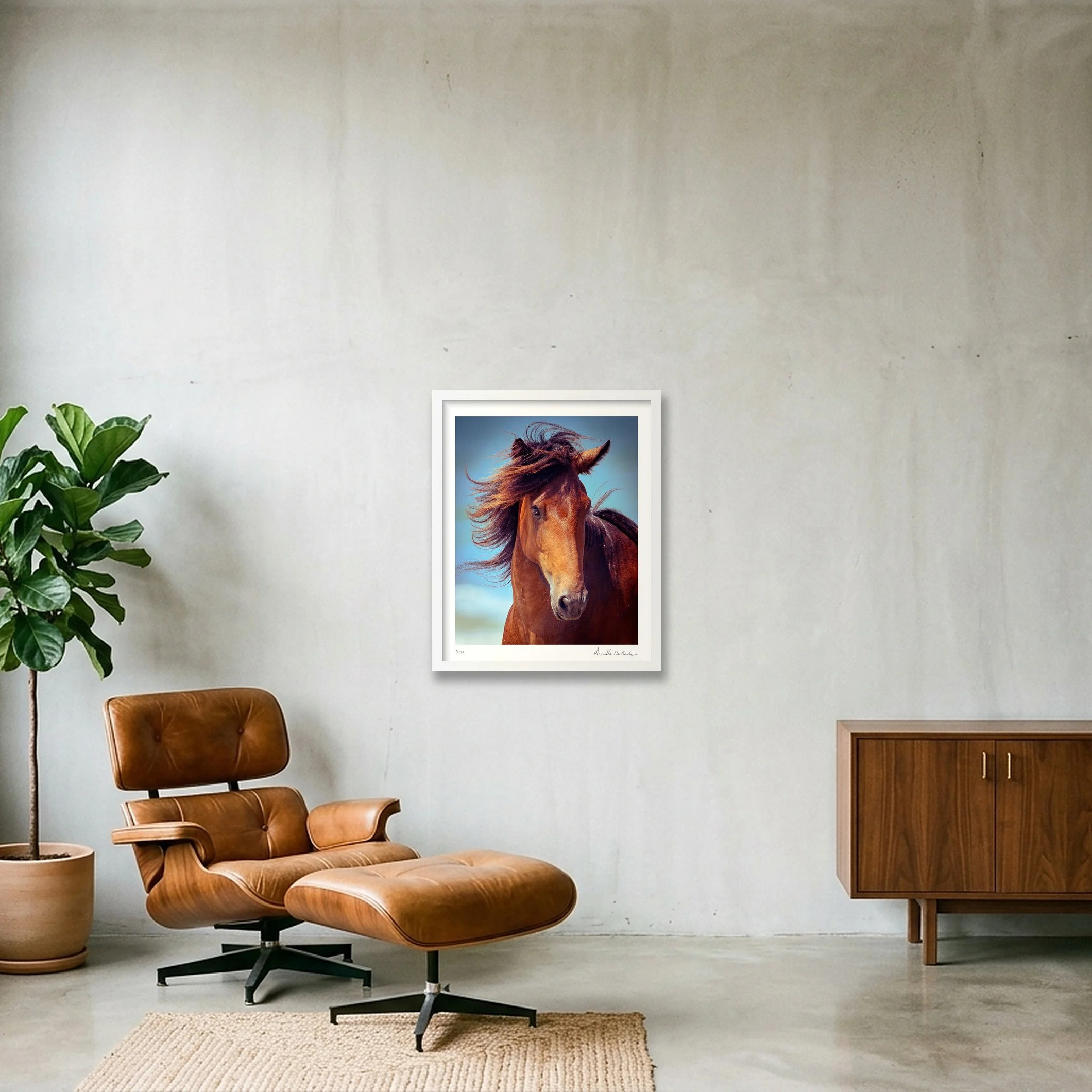 shot_wall_d8d780eb_94596de0.jpg