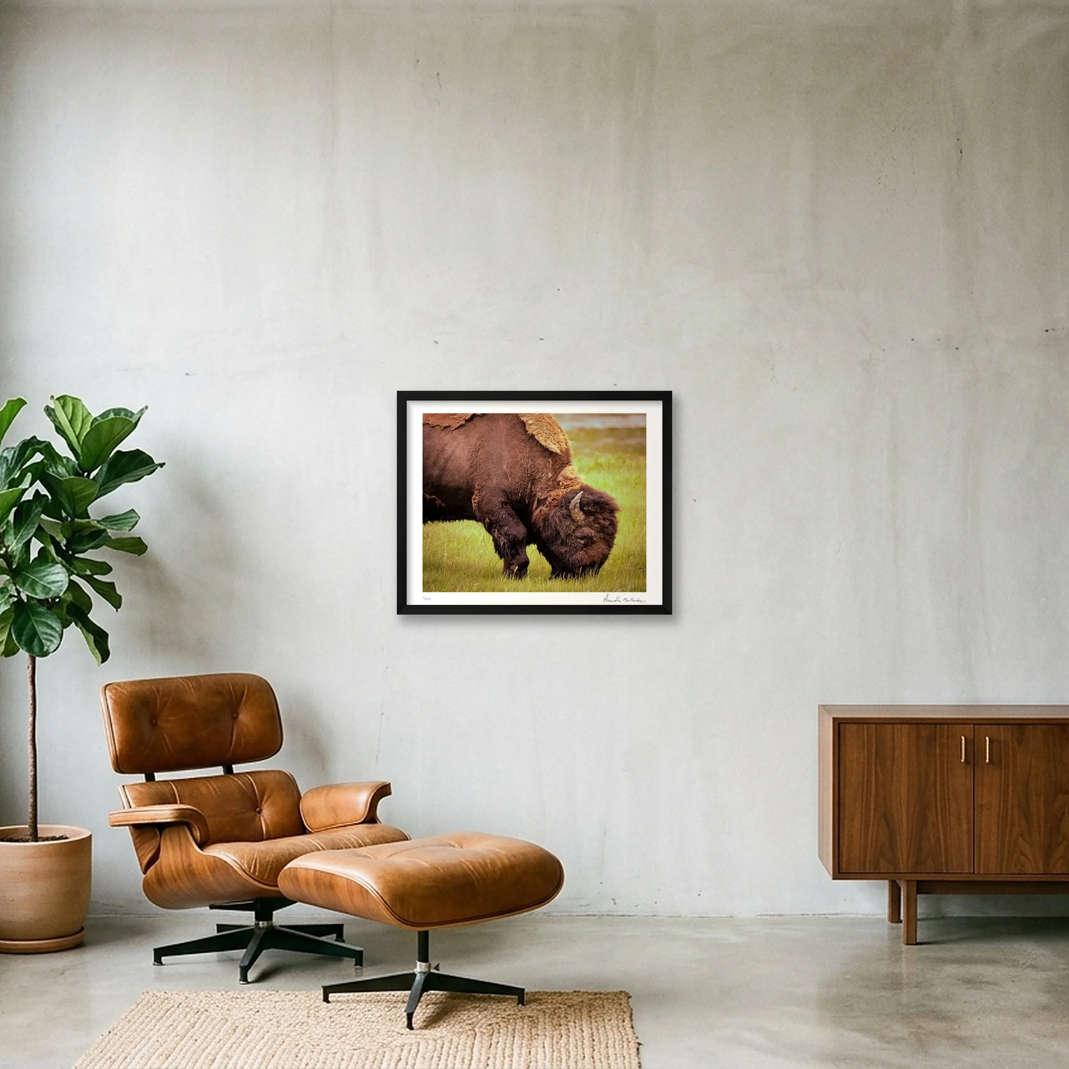 shot_wall_b77239cf_8eb84cdc.jpg