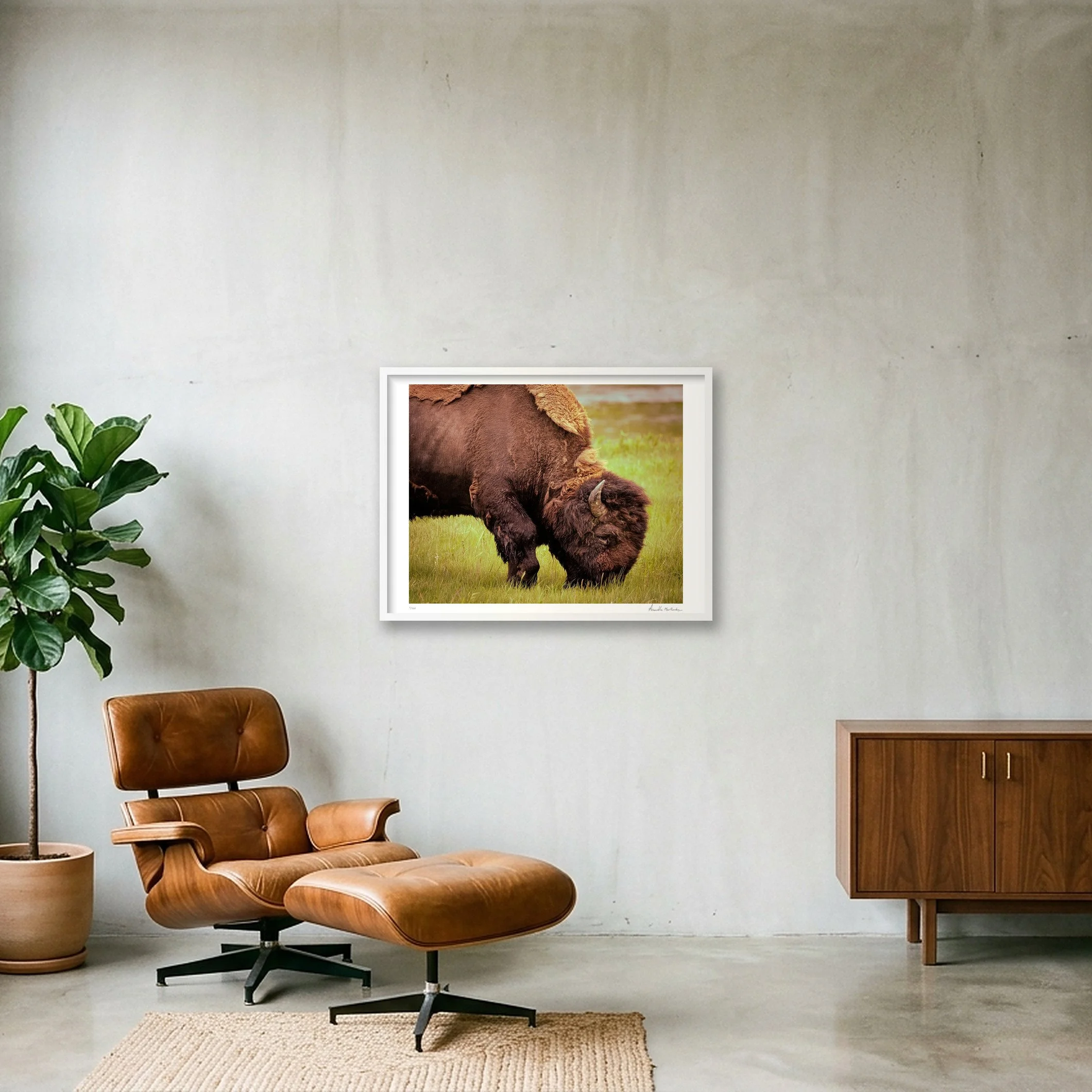 shot_wall_8fb40034_1ceca040.jpg