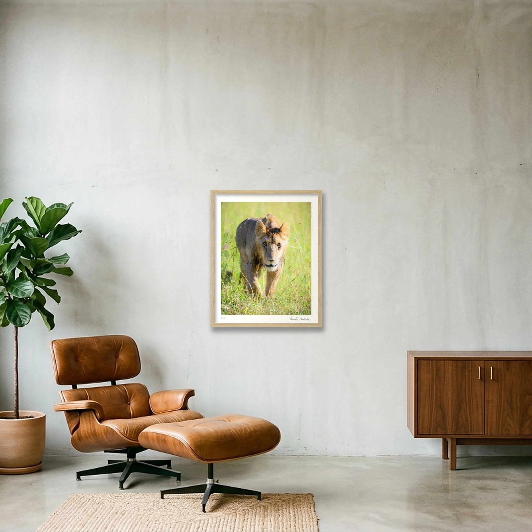 shot_wall_a80d72c4_55e166ab.jpg