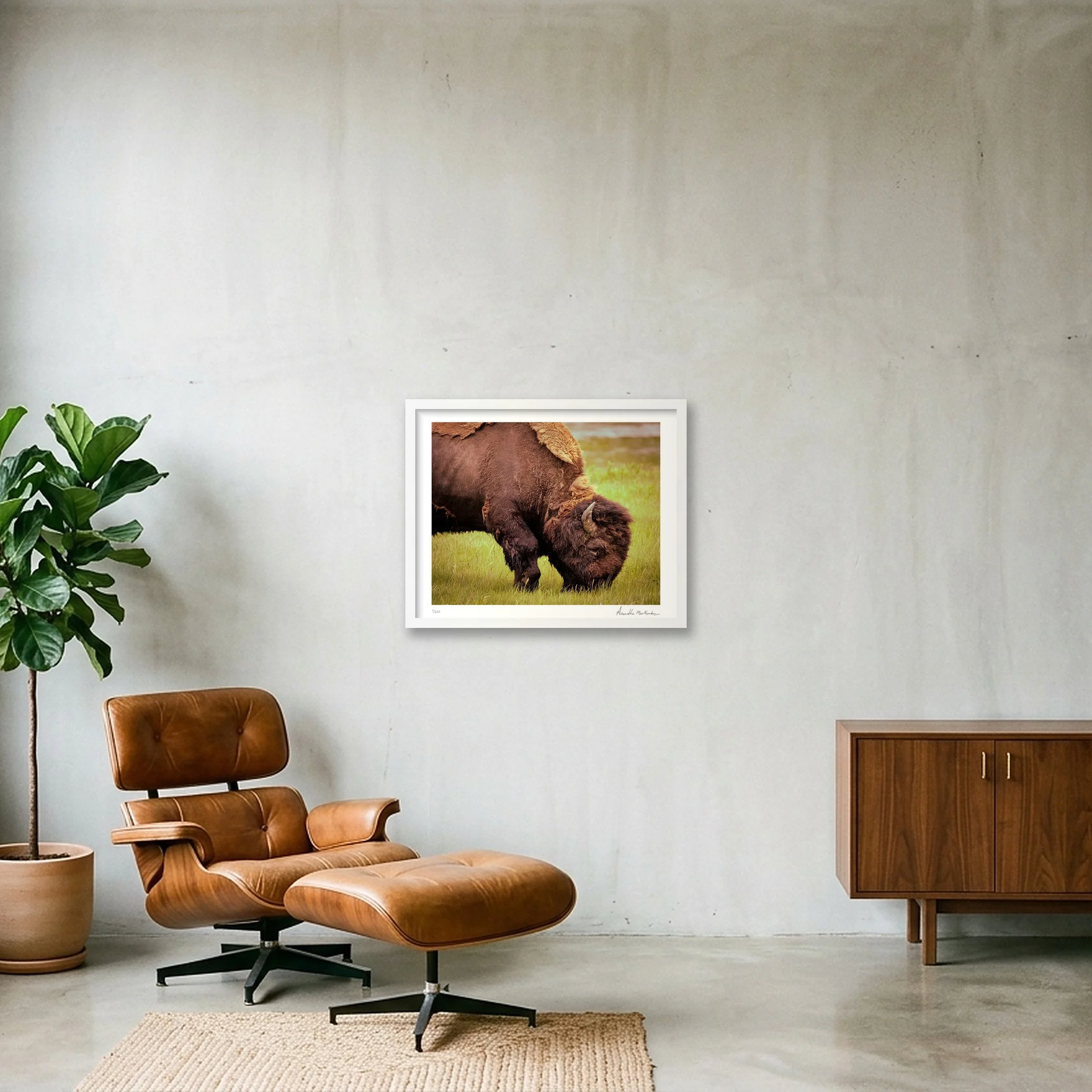 shot_wall_6849e26e_73eec048.jpg