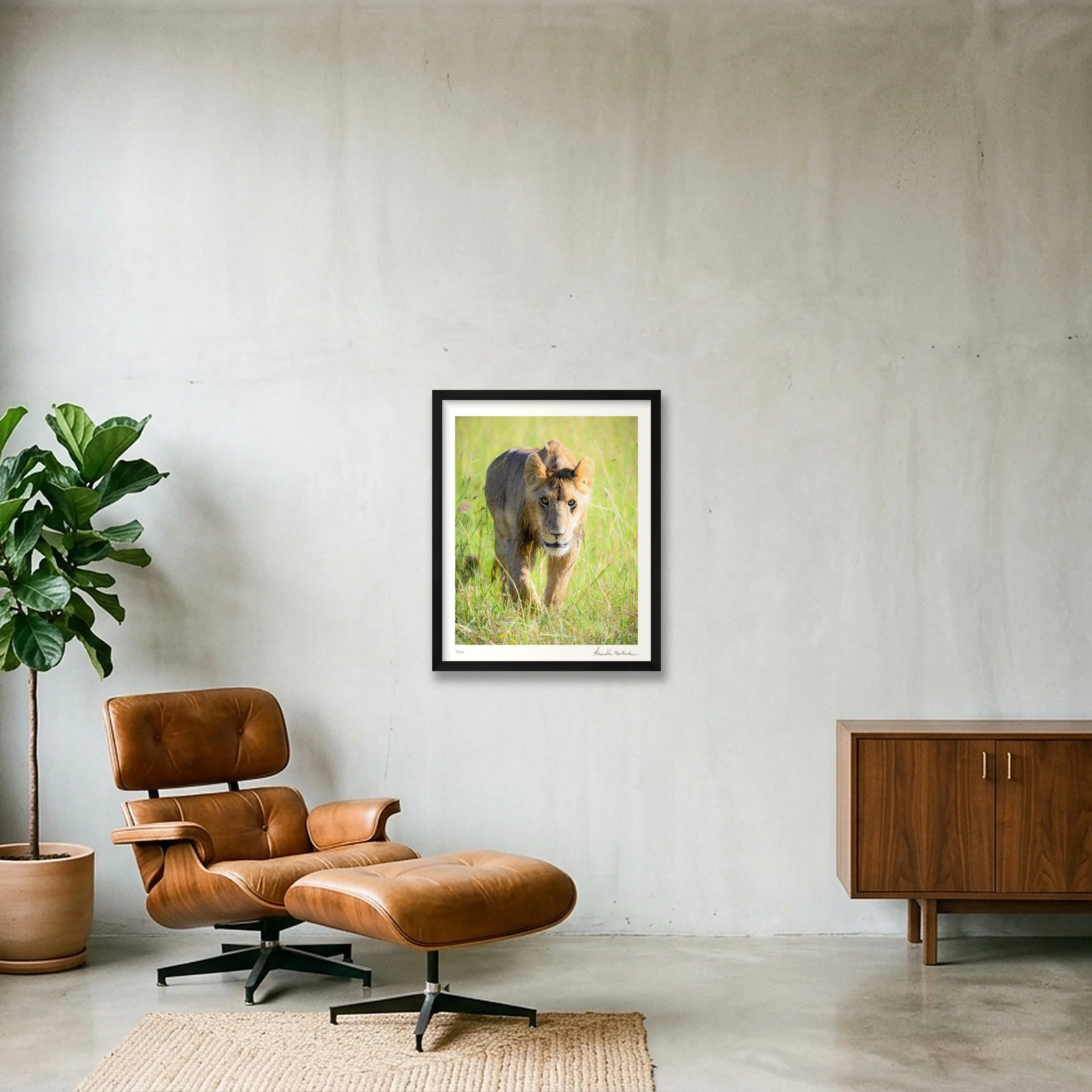 shot_wall_771601c9_2f2142a9.jpg