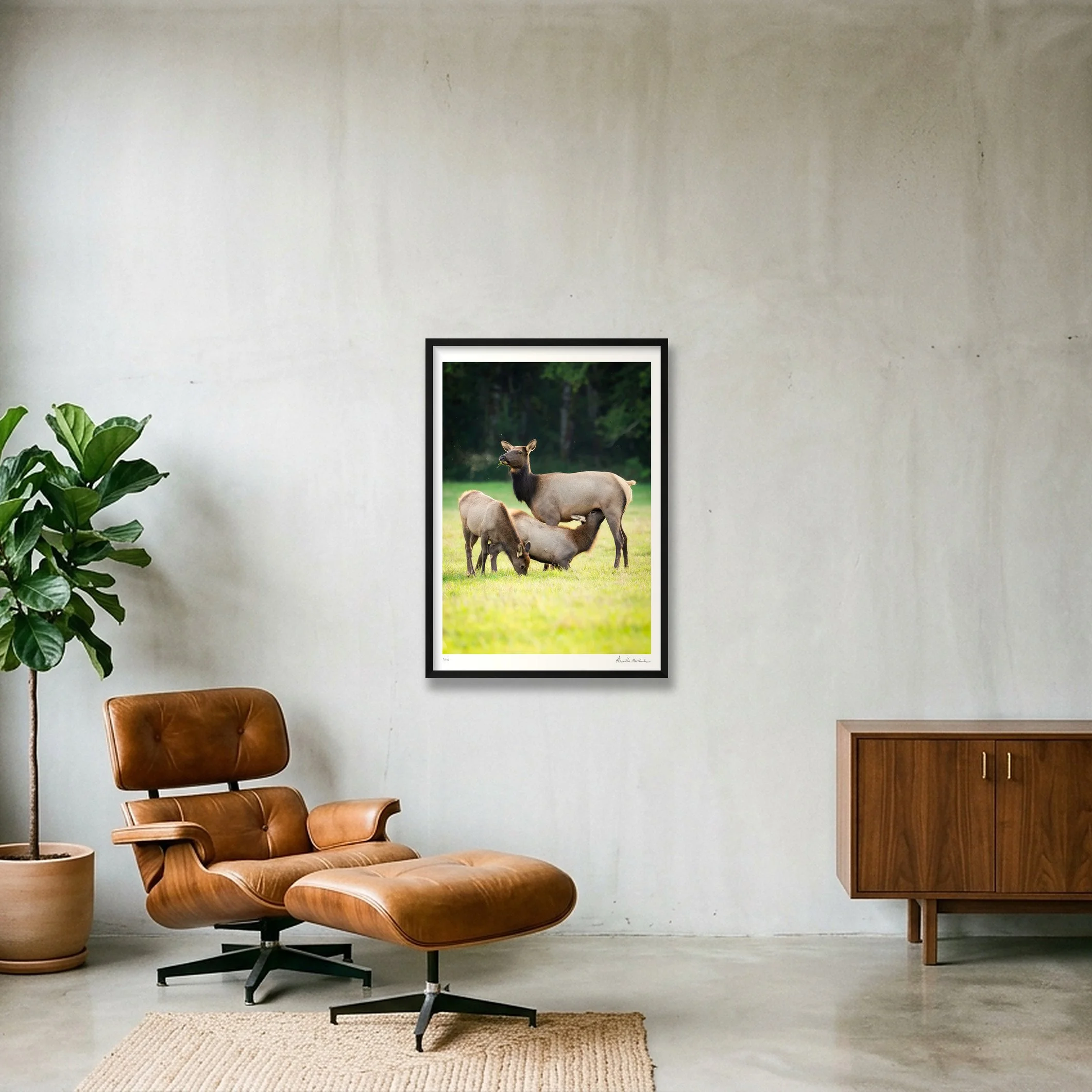 shot_wall_801ae474_6fce2ae8.jpg