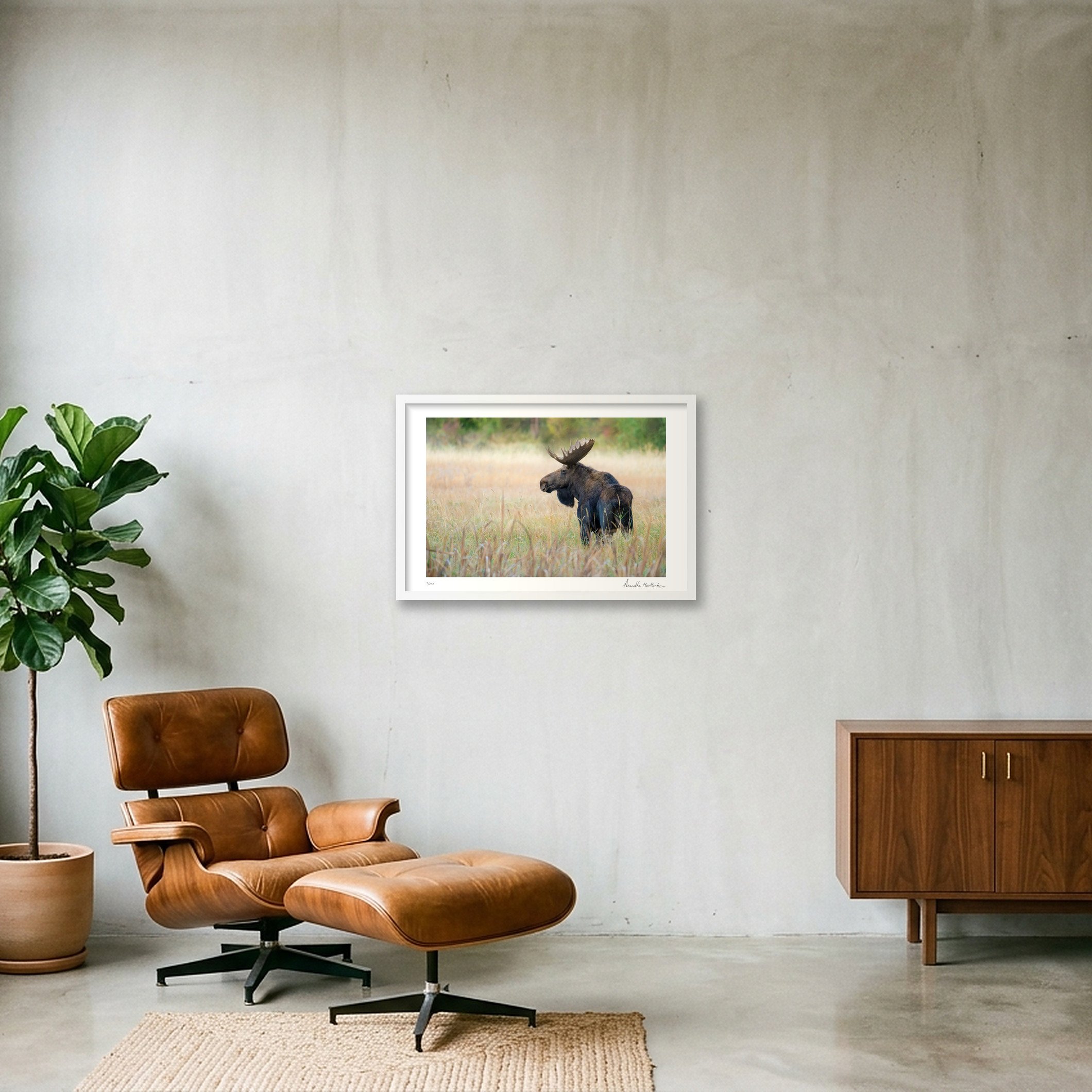 shot_wall_1ee5a59f_428fe53b.jpg