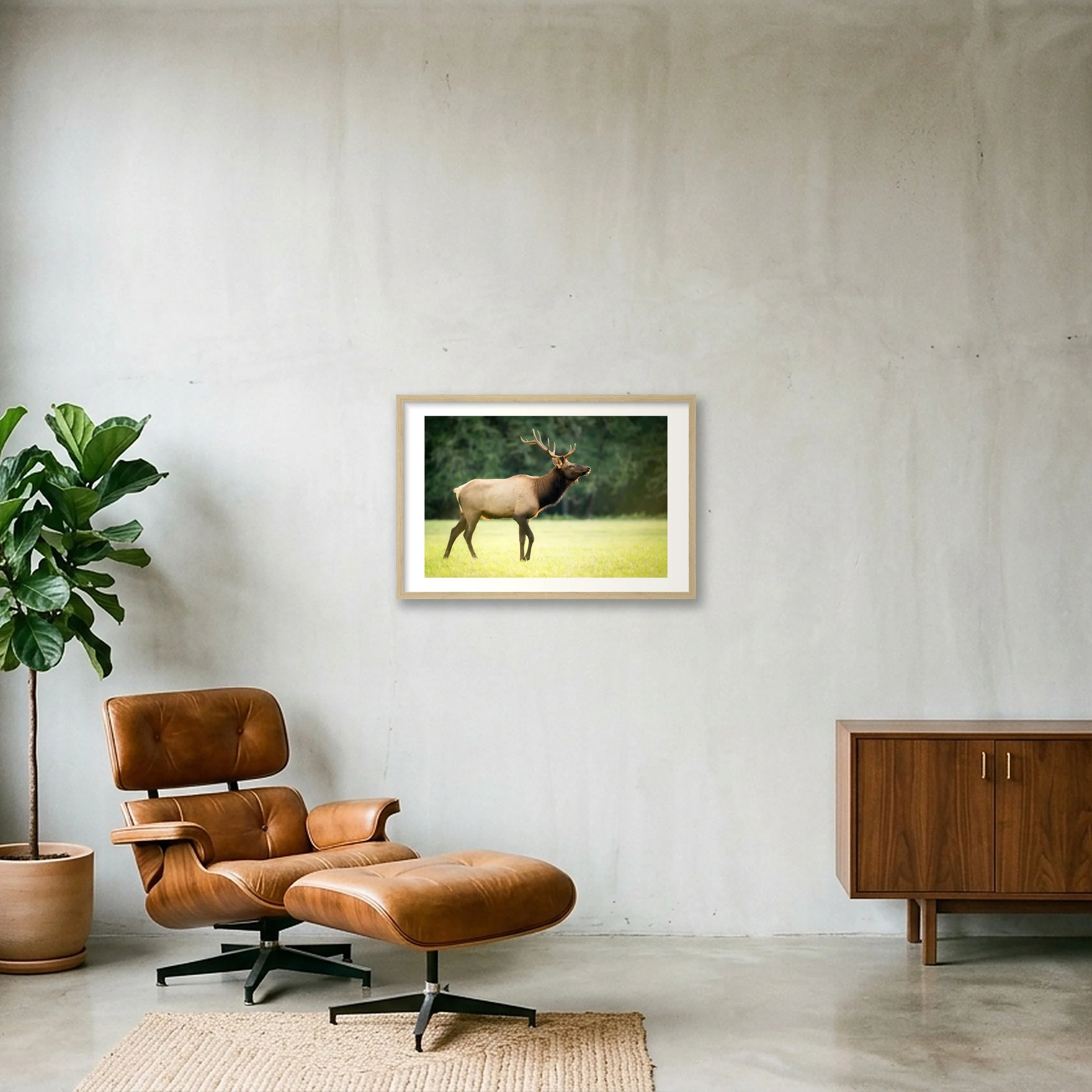 shot_wall_7a19d3c7_9975ef67.jpg