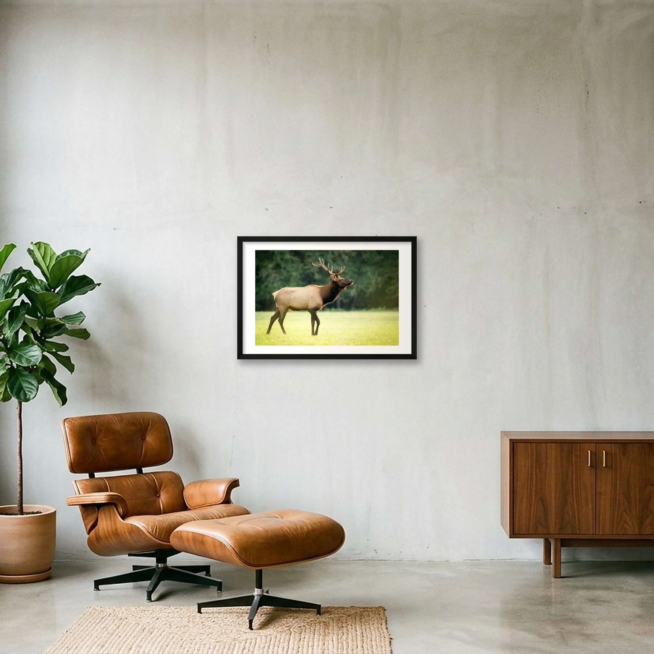 shot_wall_5b5f3e08_f88d8261.jpg