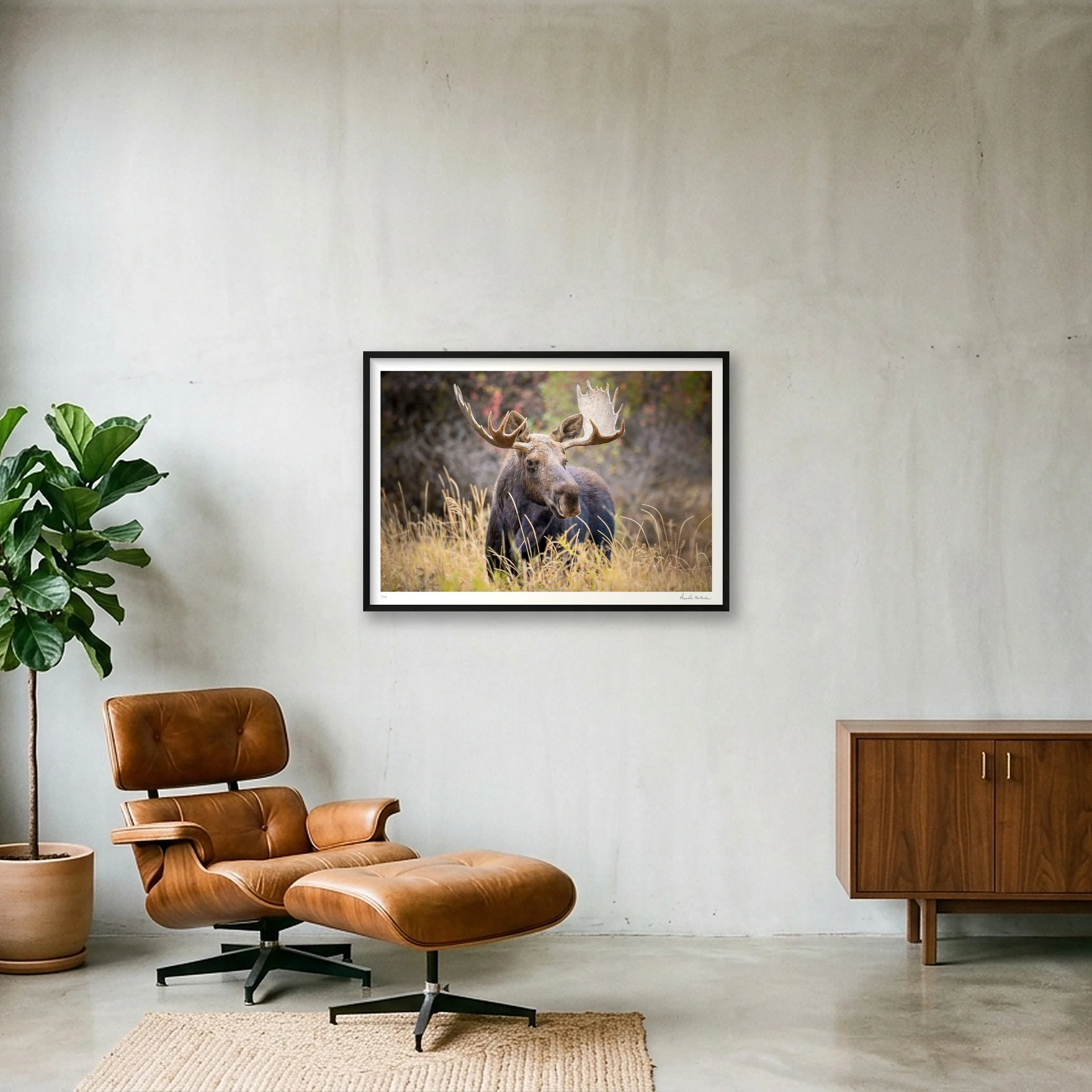 shot_wall_05c5c0e6_00db6102.jpg