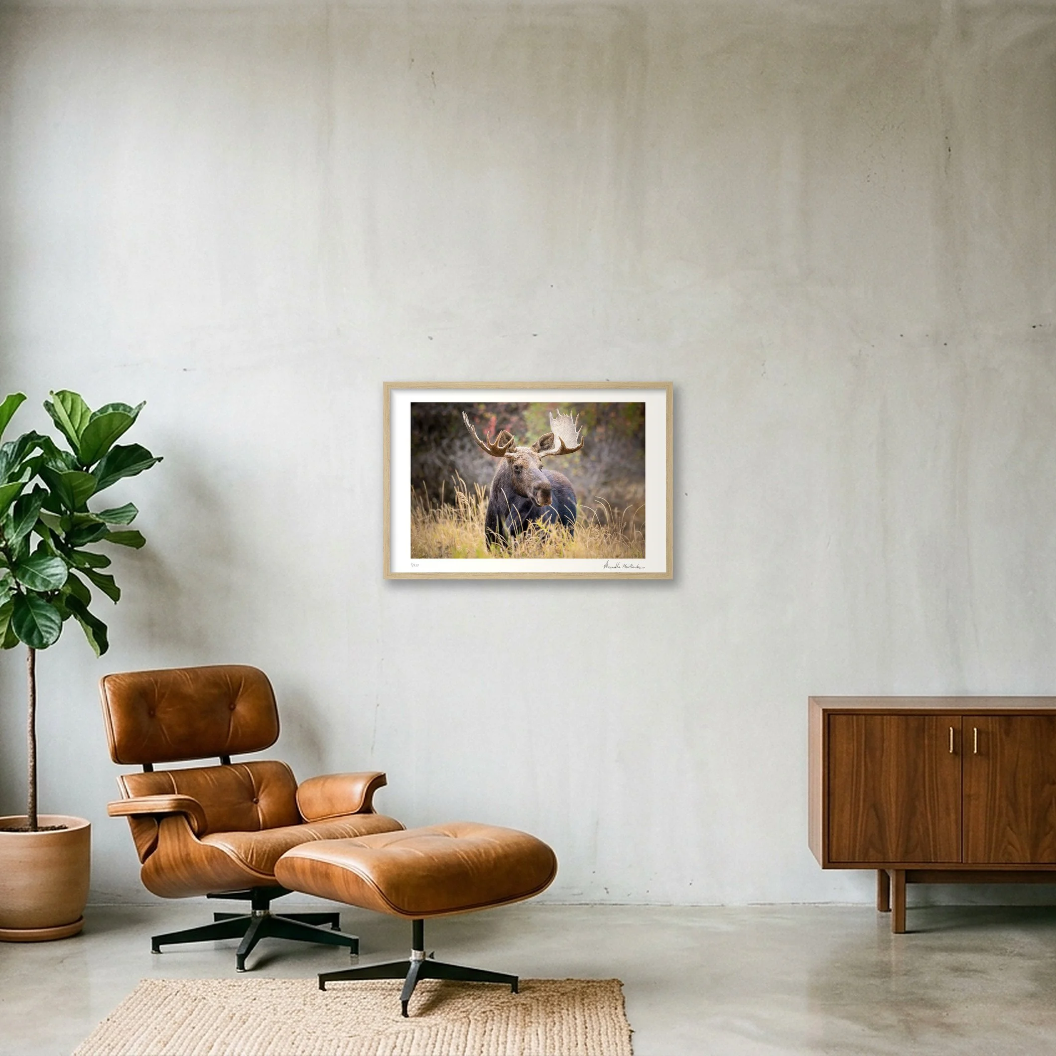 shot_wall_4cd0d783_4f1ee6df.jpg
