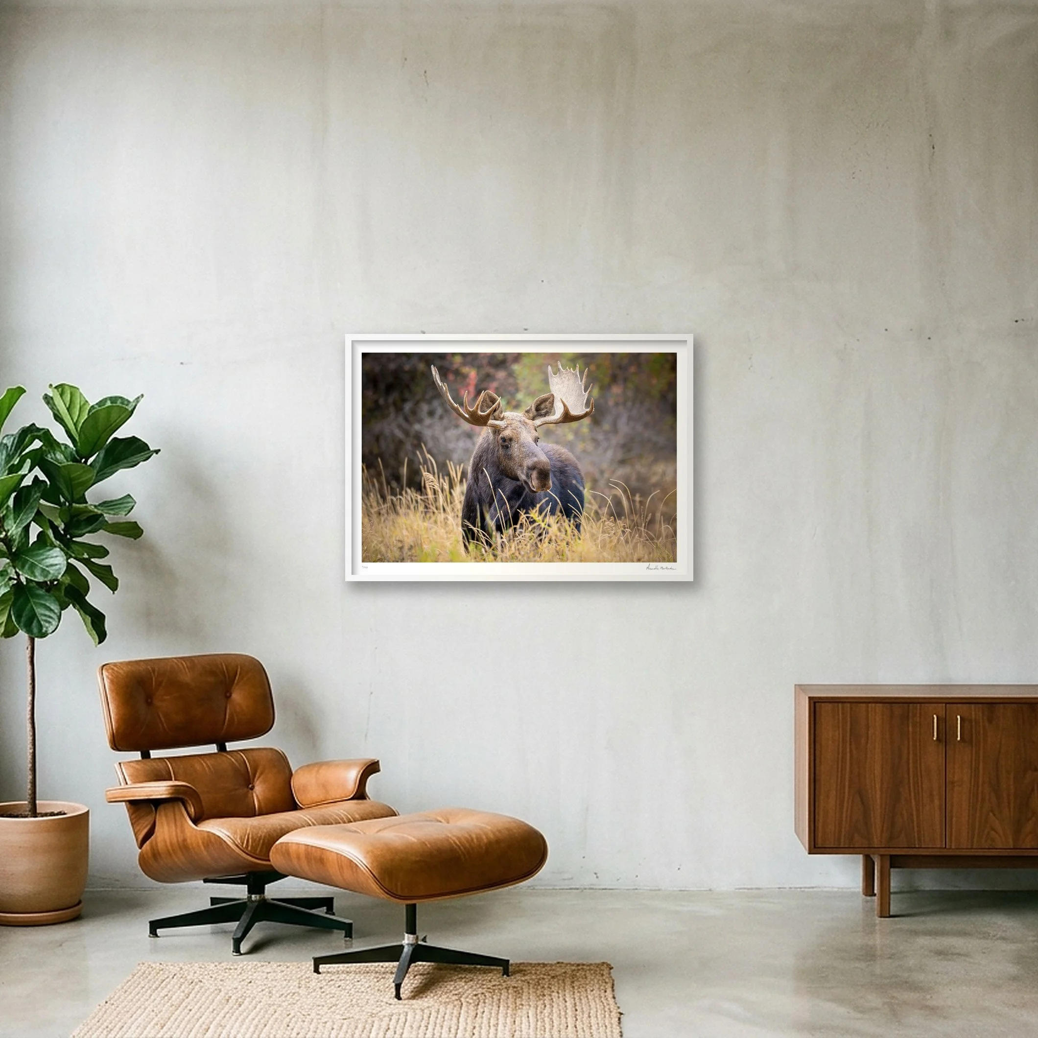 shot_wall_7e0fb41c_4b1704af.jpg