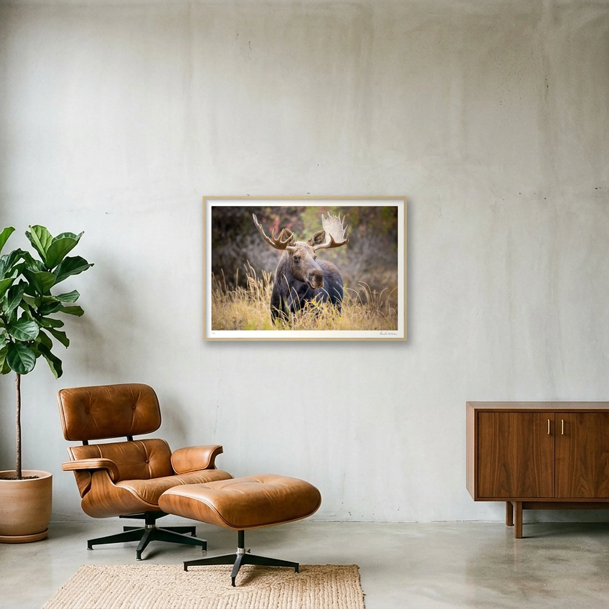 shot_wall_216d9fd4_e36efd8a.jpg