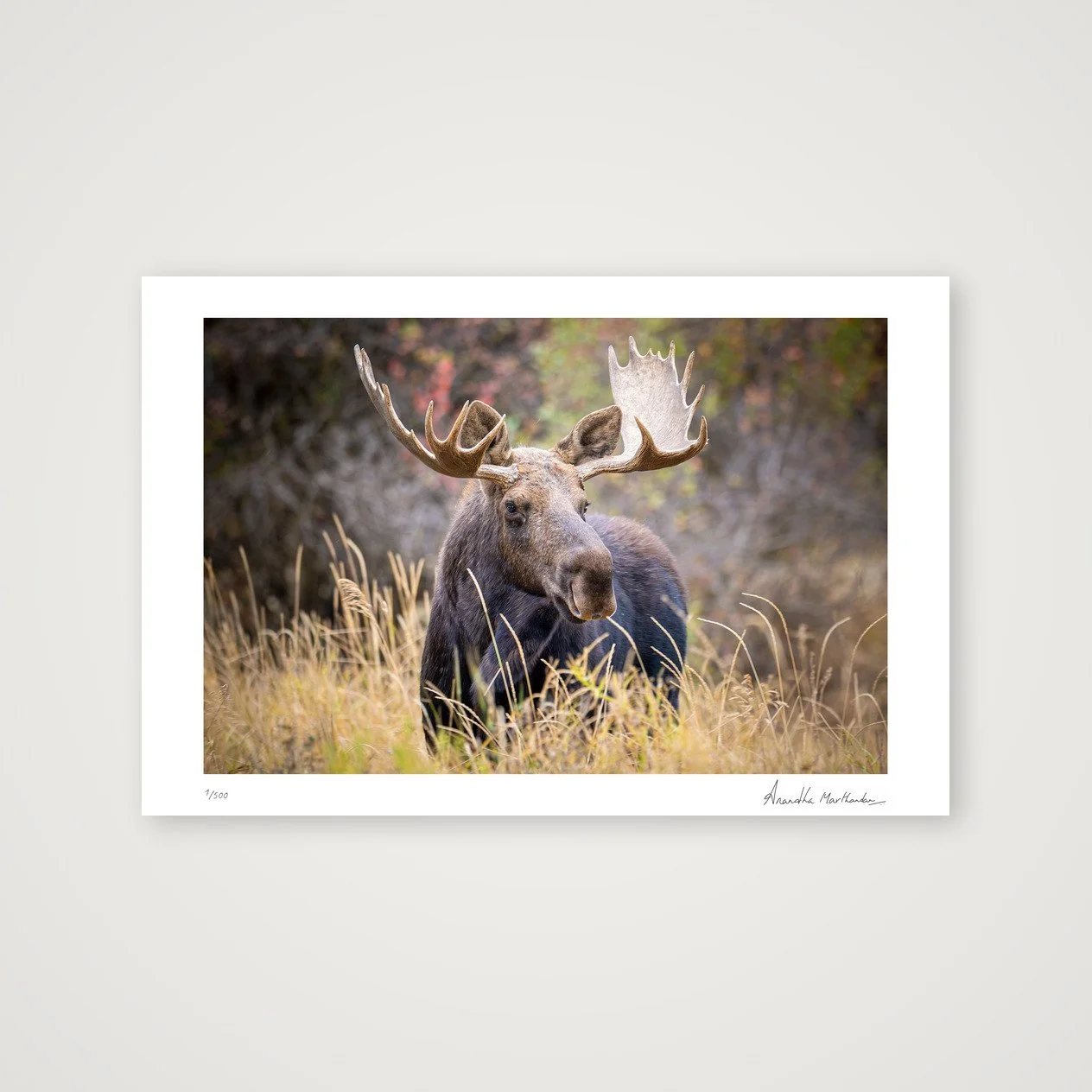 shot_table_f1eabe32_ad87a6aa.jpg