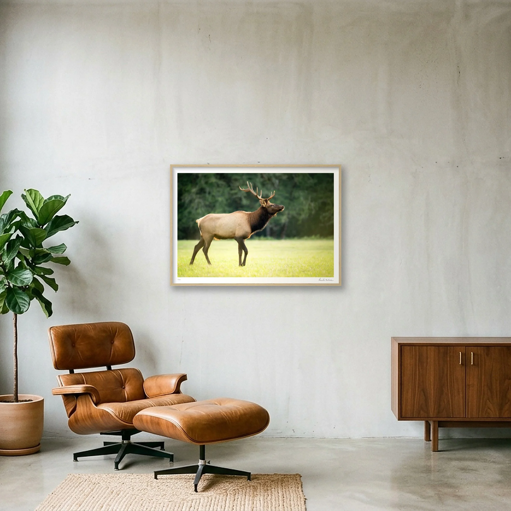 shot_wall_a25acbbb_4c618650.jpg
