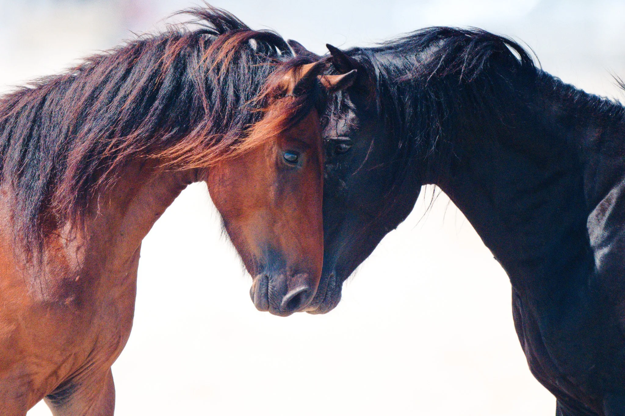 Soulful Symmetry - EXHIBITION PRINTS