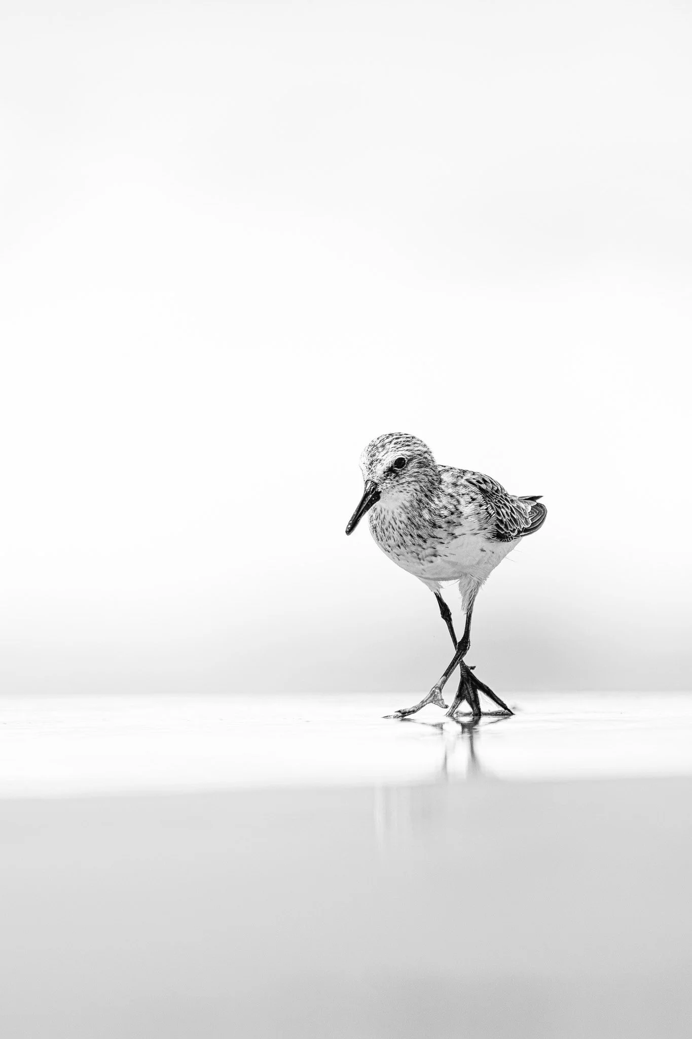Coastal Runway - EXHIBITION PRINTS