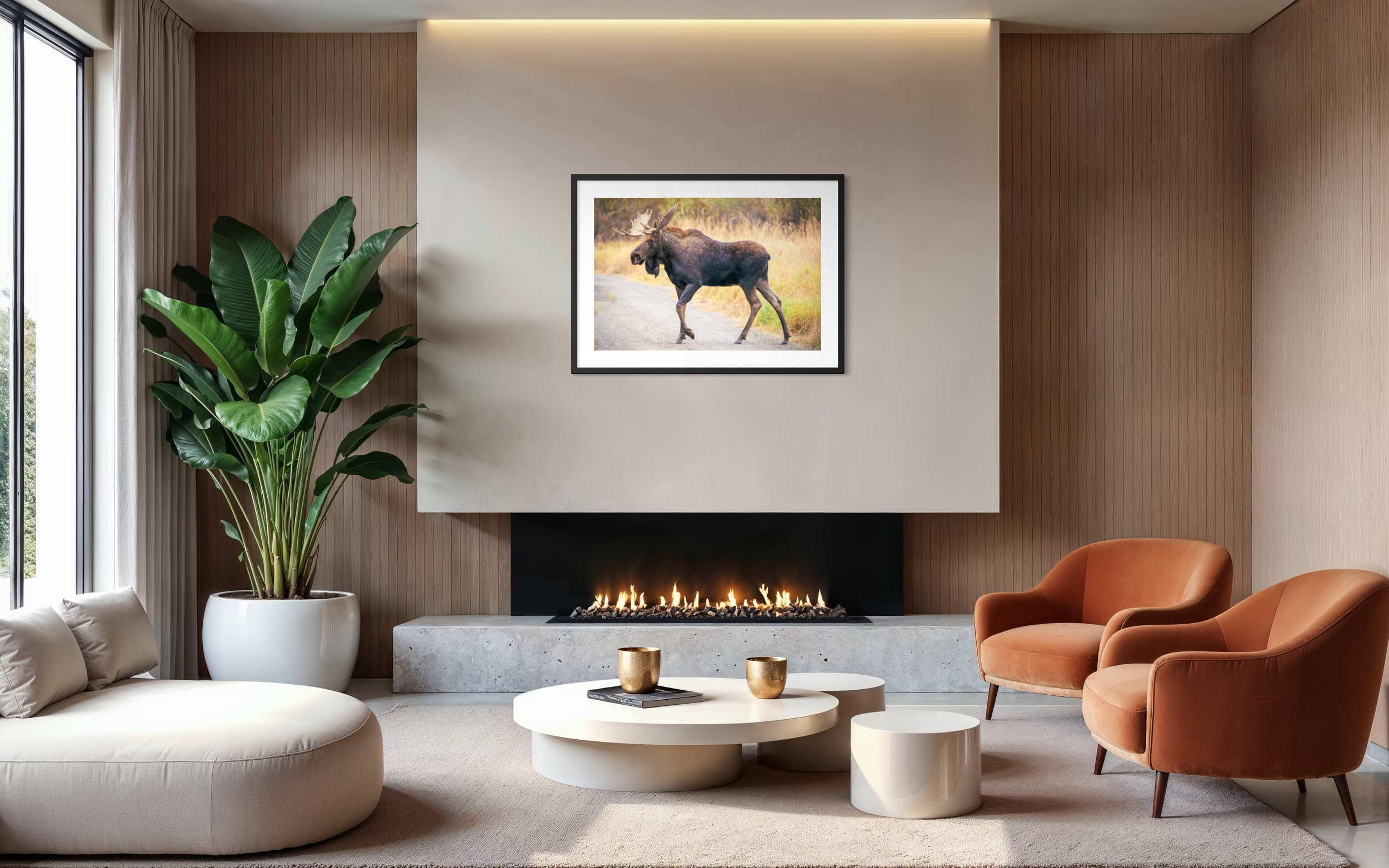 Shiras Moose