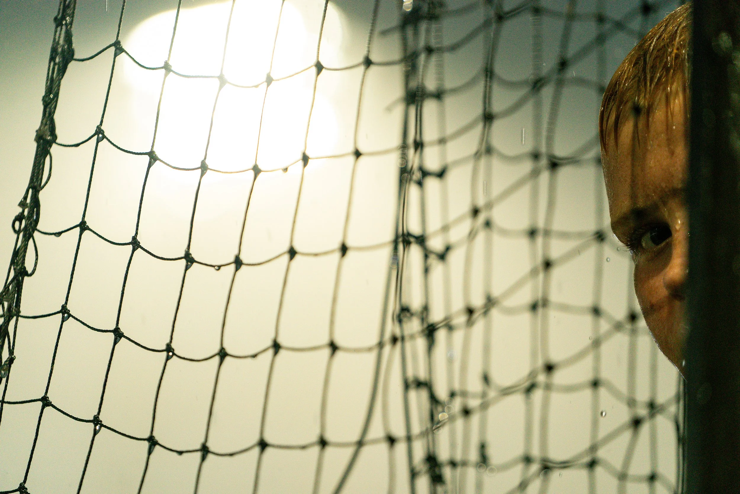 Close-up of a person peeking through a black wire mesh fence with bright light behind.