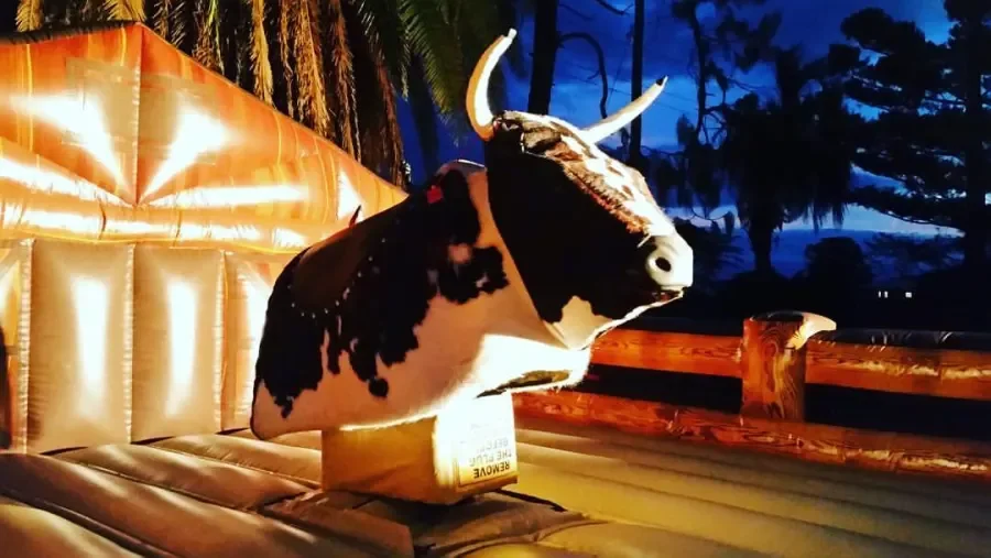 A cow head sculpture with horns, placed on a box inside a room with a tropical outdoor view at dusk, including trees and a dark blue sky.