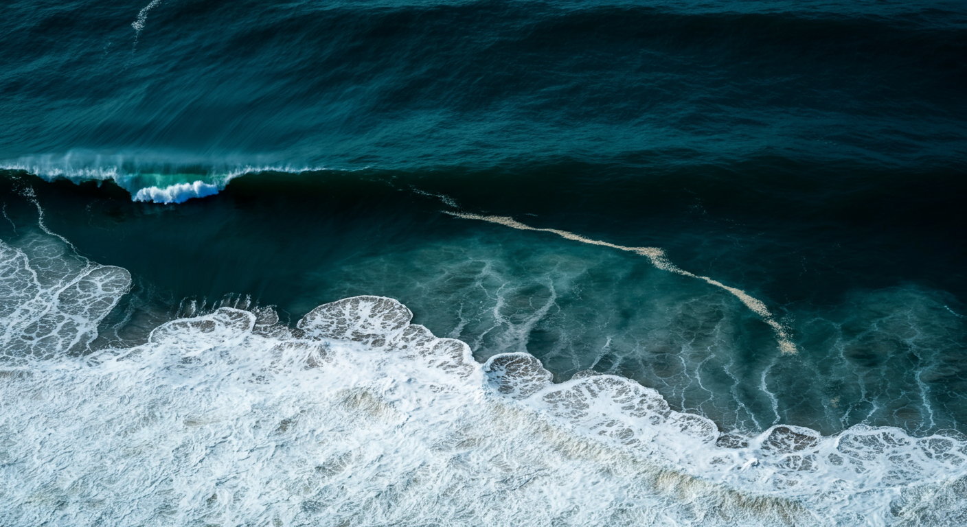 The Ocean Front 205 Project