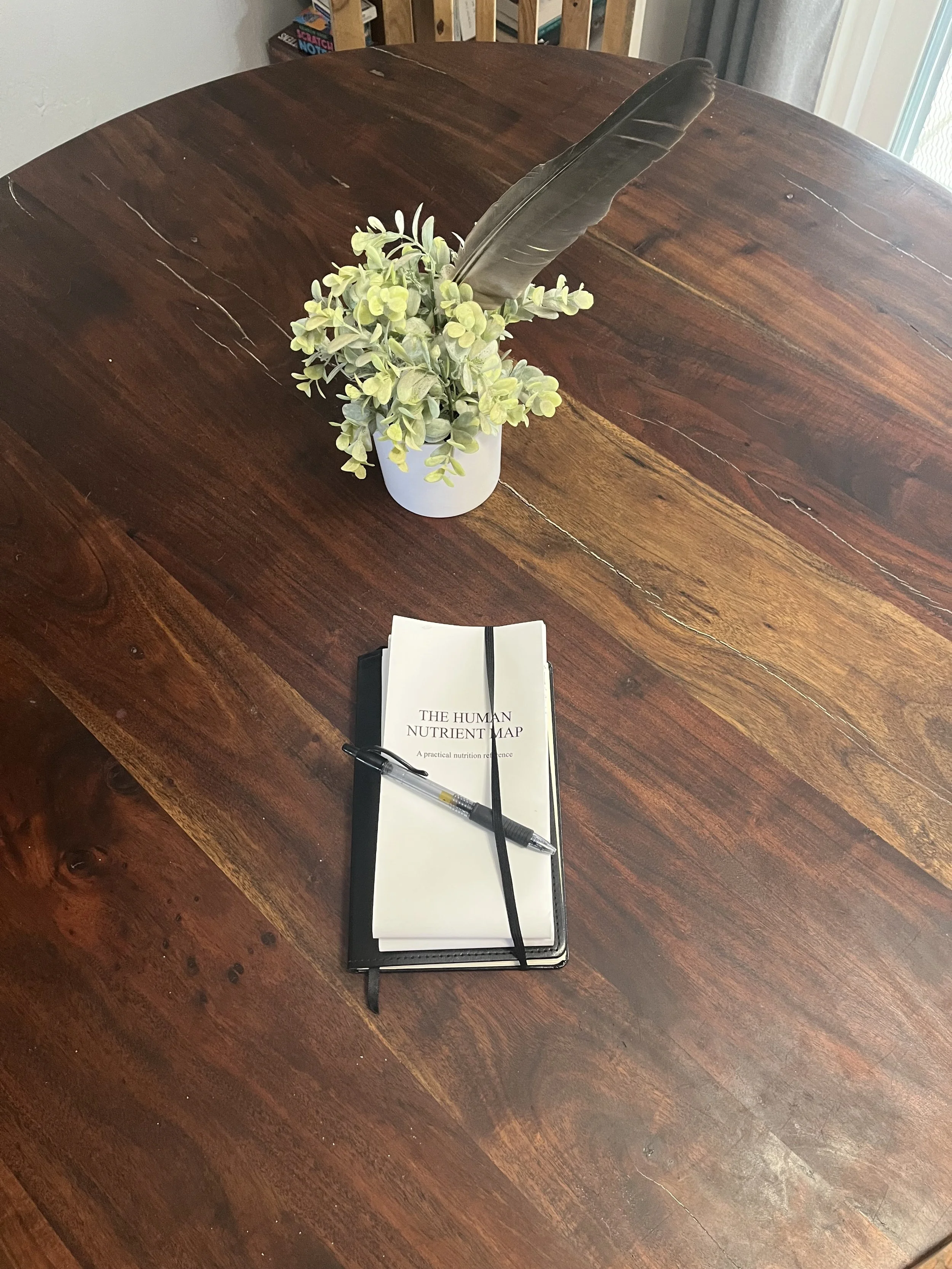 A wooden table holding a notebook labeled "The Human Nutrient Map," a black pen, a black elastic band, and a small potted plant with green and gray leaves and a large feather.