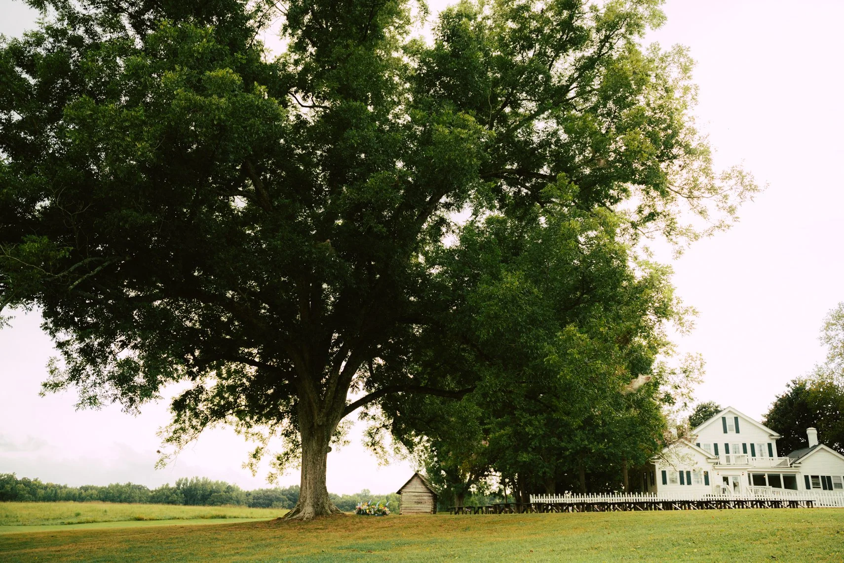 weddingcait-53.jpg