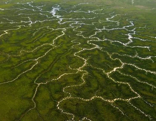 Indigenous Nations unite in call for stronger national water laws