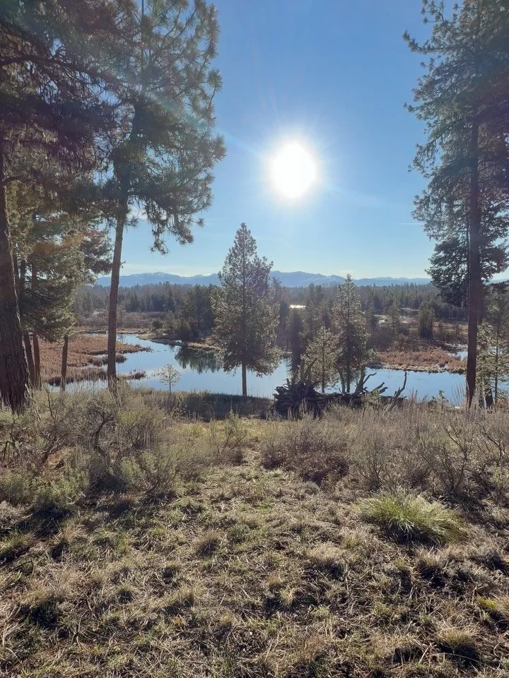 The contract has been signed and we are moving forward. I could not be any more excited to be part of this project, and to be spending the next 16 to 18 months of my life out of this piece of property.  I&rsquo;ll be teaming up with an old friend nam
