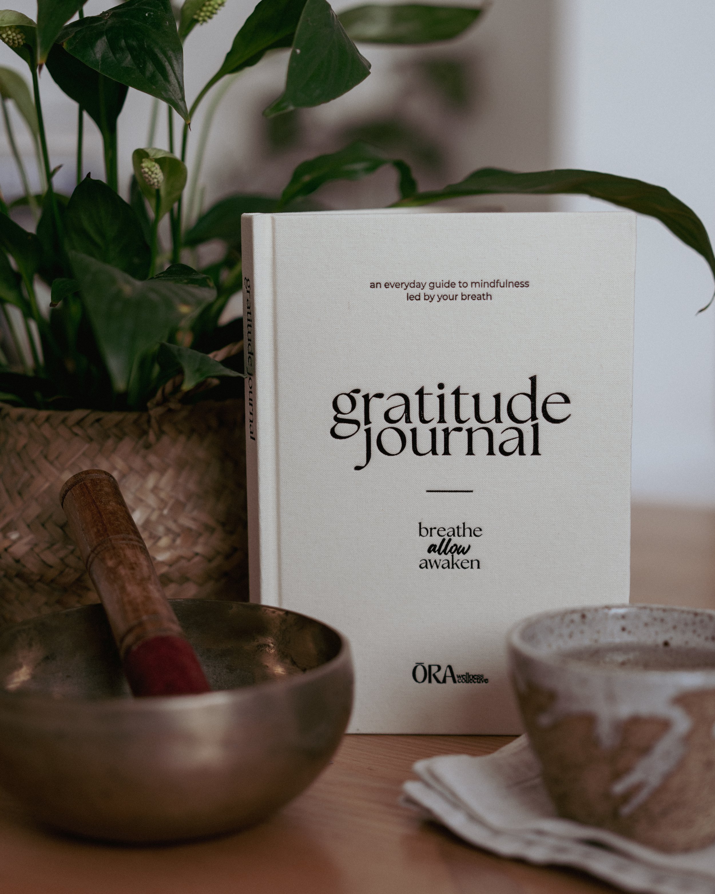 A book titled 'gratitude journal' is placed on a surface with indoor plants nearby, and blurred dishes in the foreground and background.