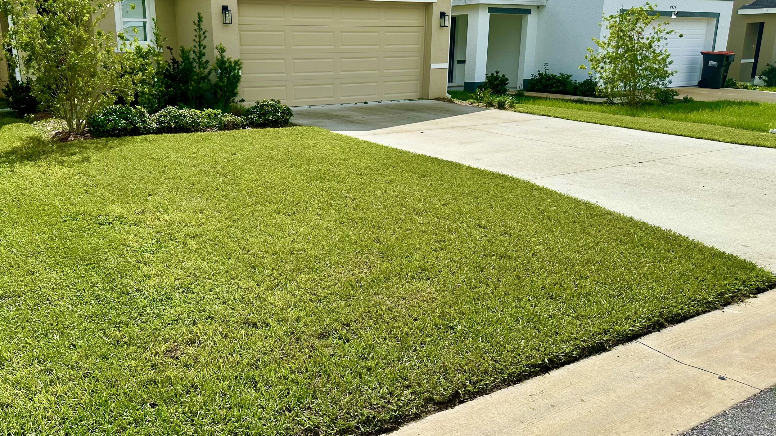 Lawn #5.jpeg