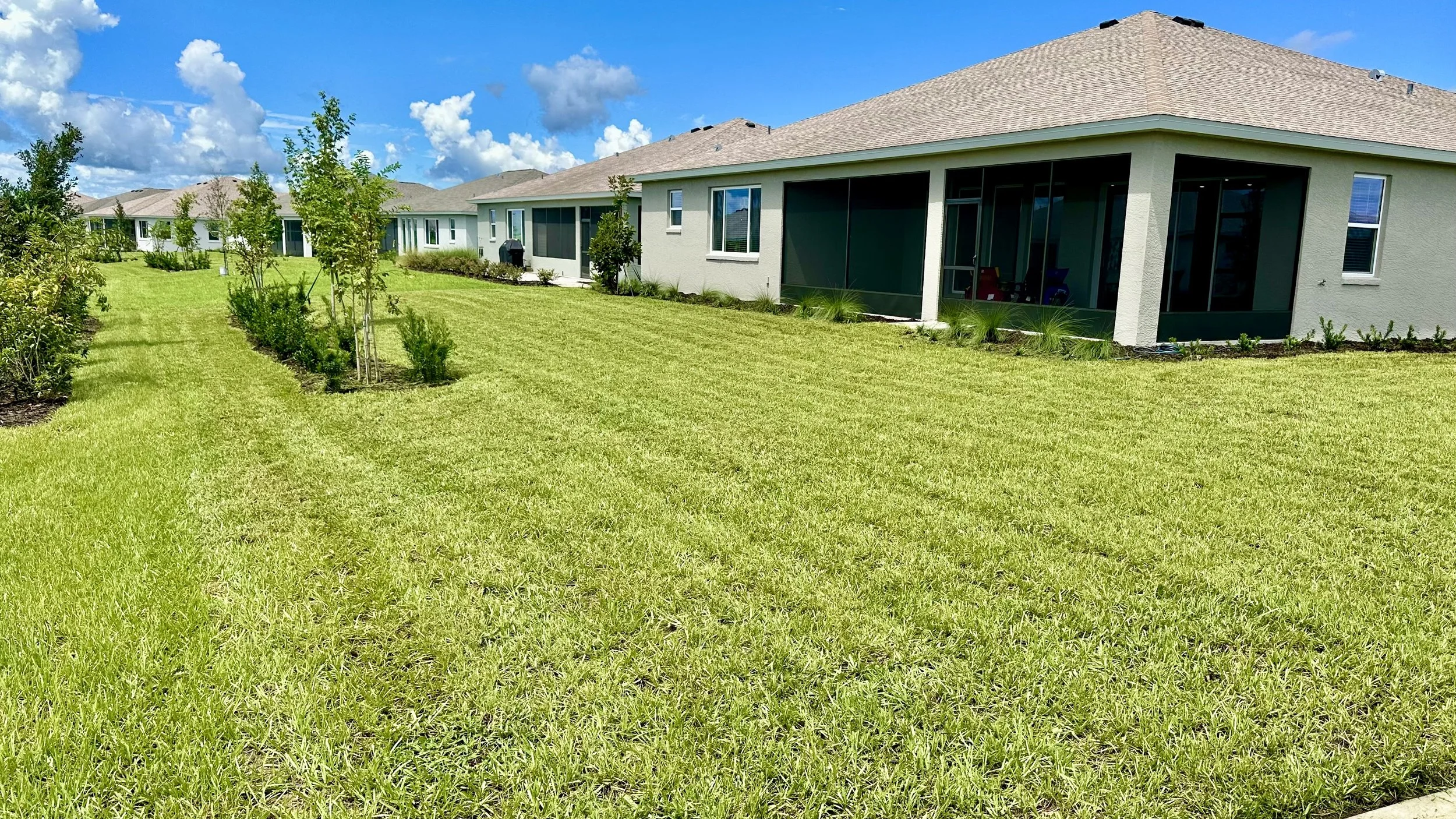 Lawn #4-1.jpeg