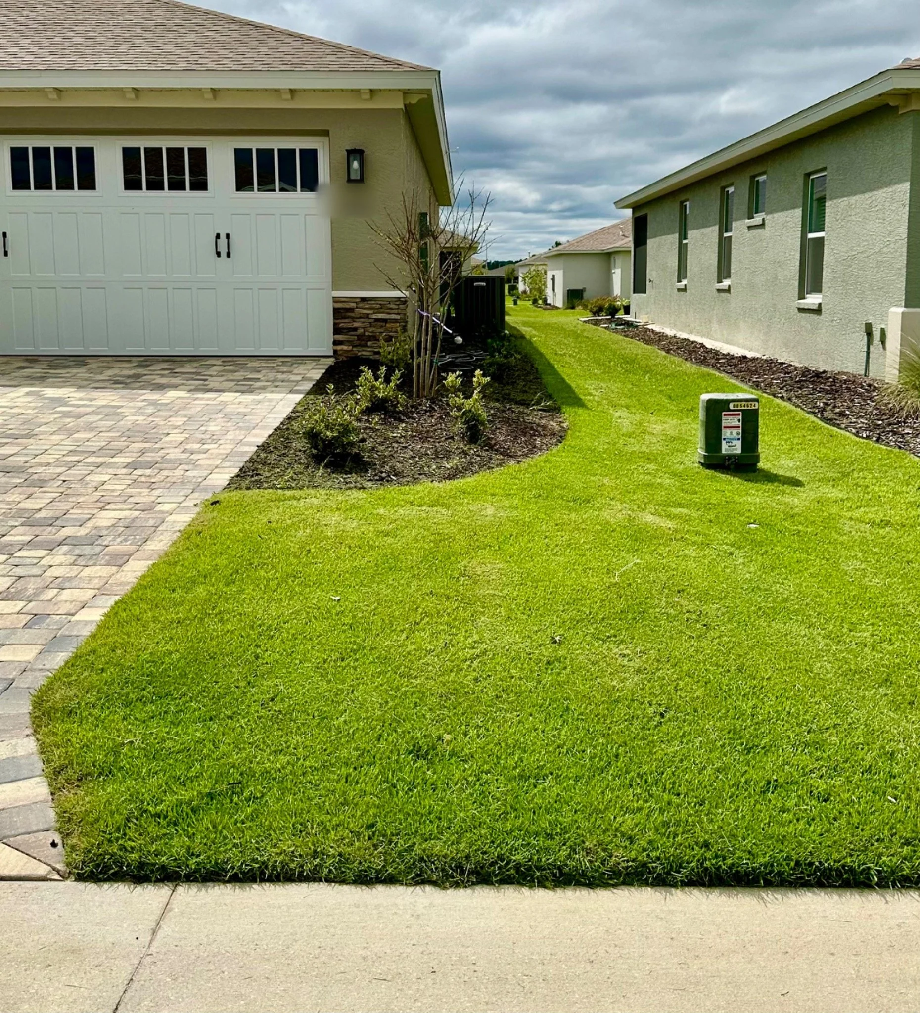 Lawn-4-5-Privacy.jpeg