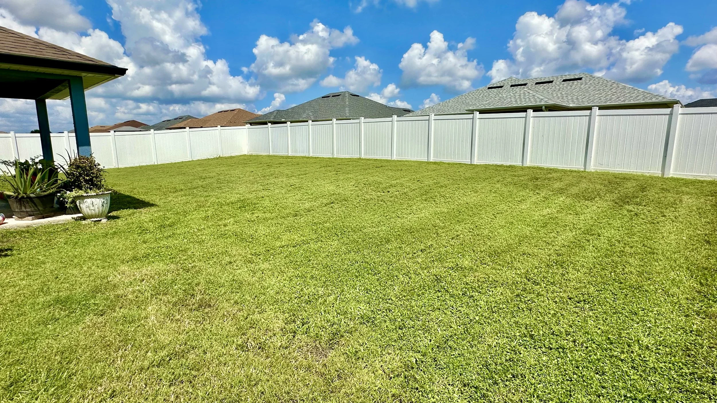 Lawn #2-1.jpeg