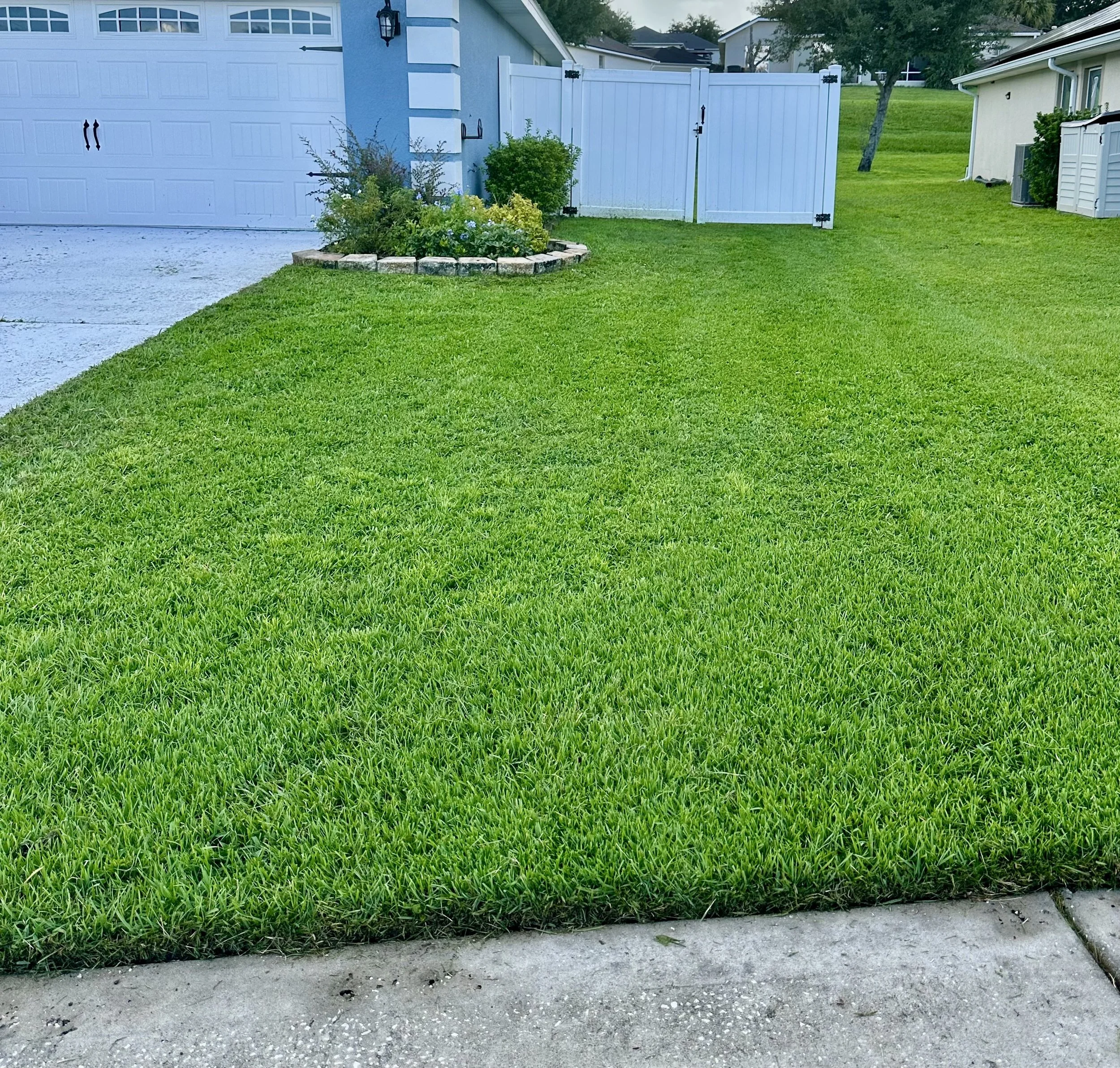 Lawn #7-2.jpeg