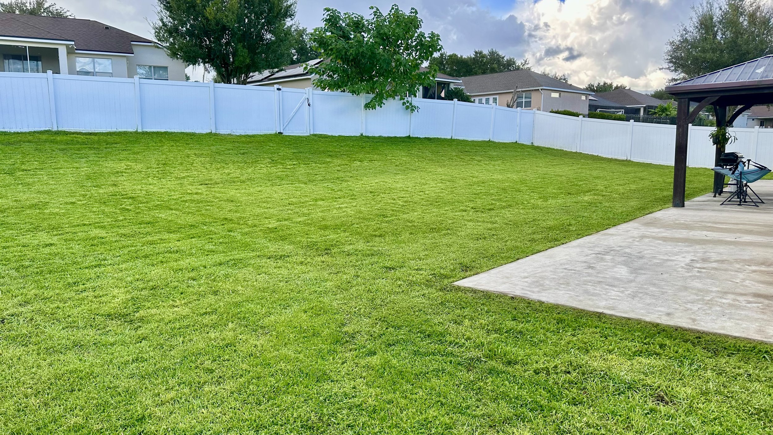 Lawn #7-3.jpeg