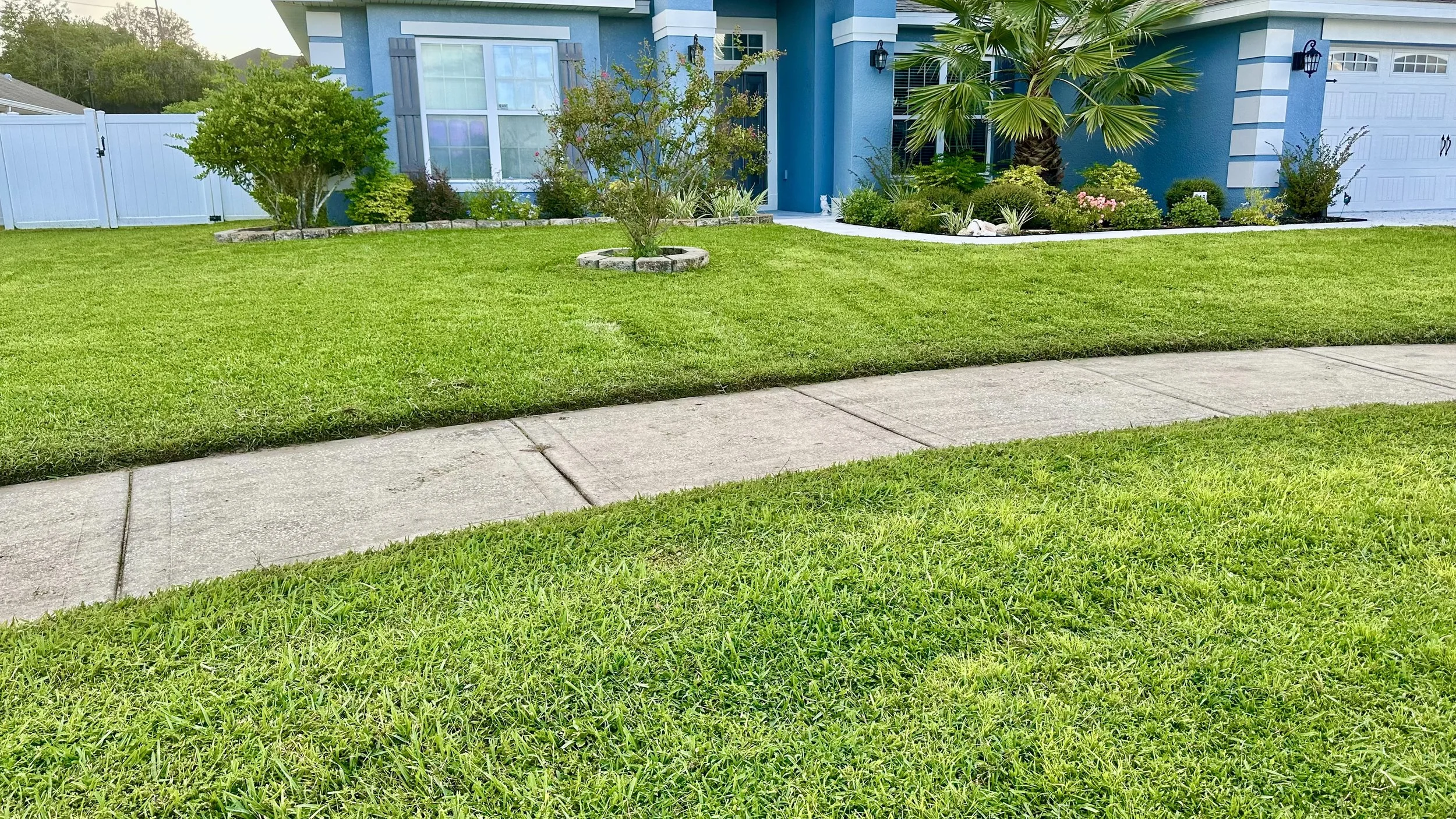 Lawn #7-1.jpeg