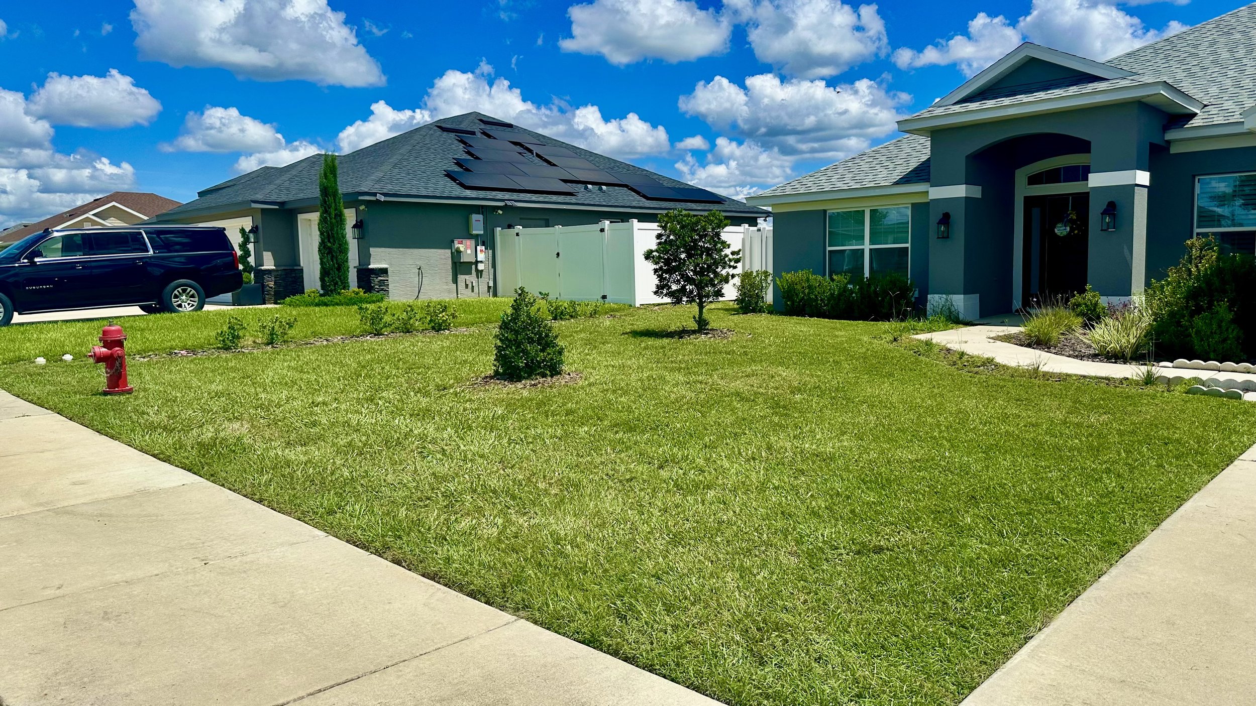 Lawn #6.jpeg