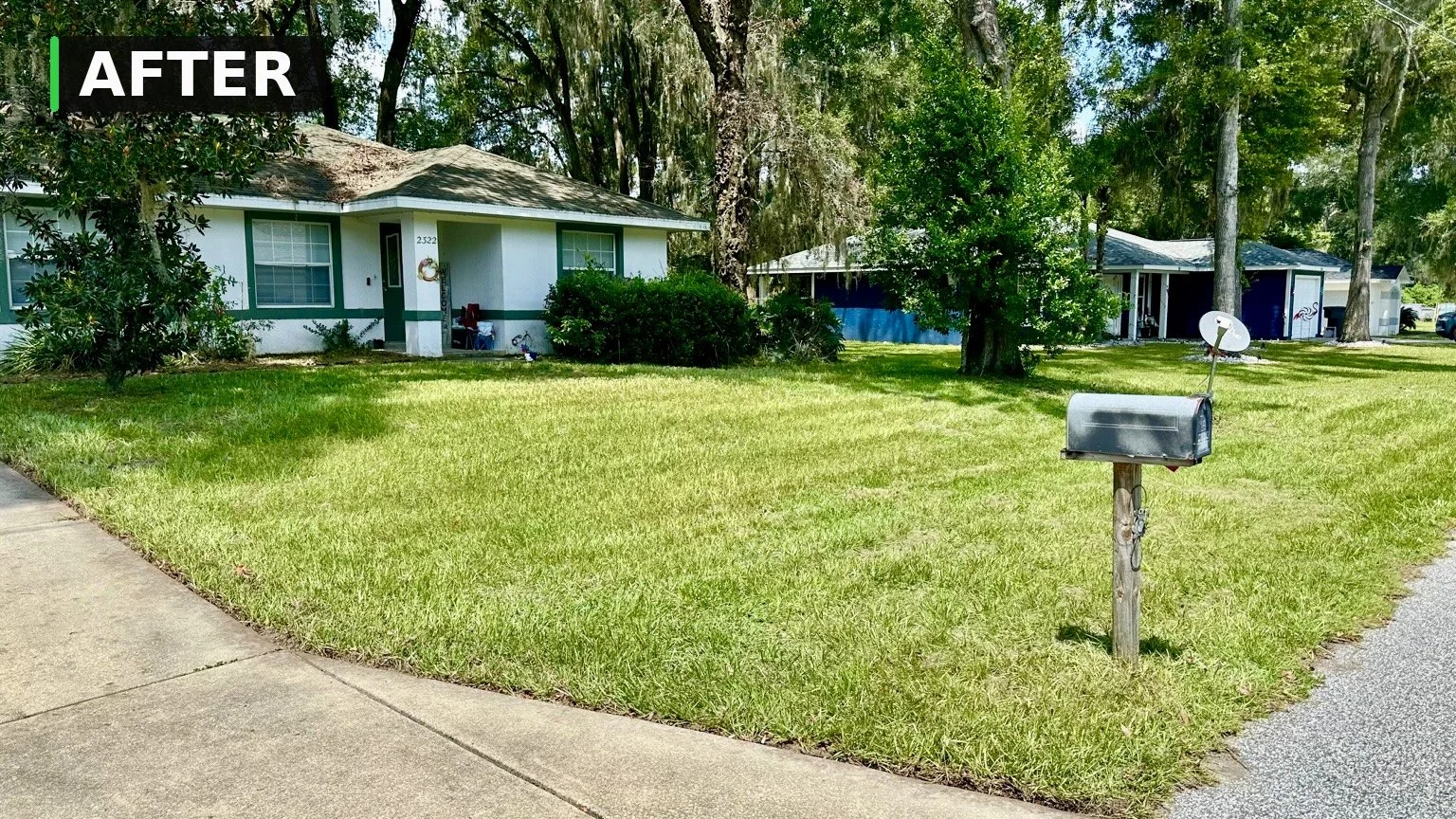 A front yard with a mailbox, green grass, trees, and houses in a residential neighborhood.