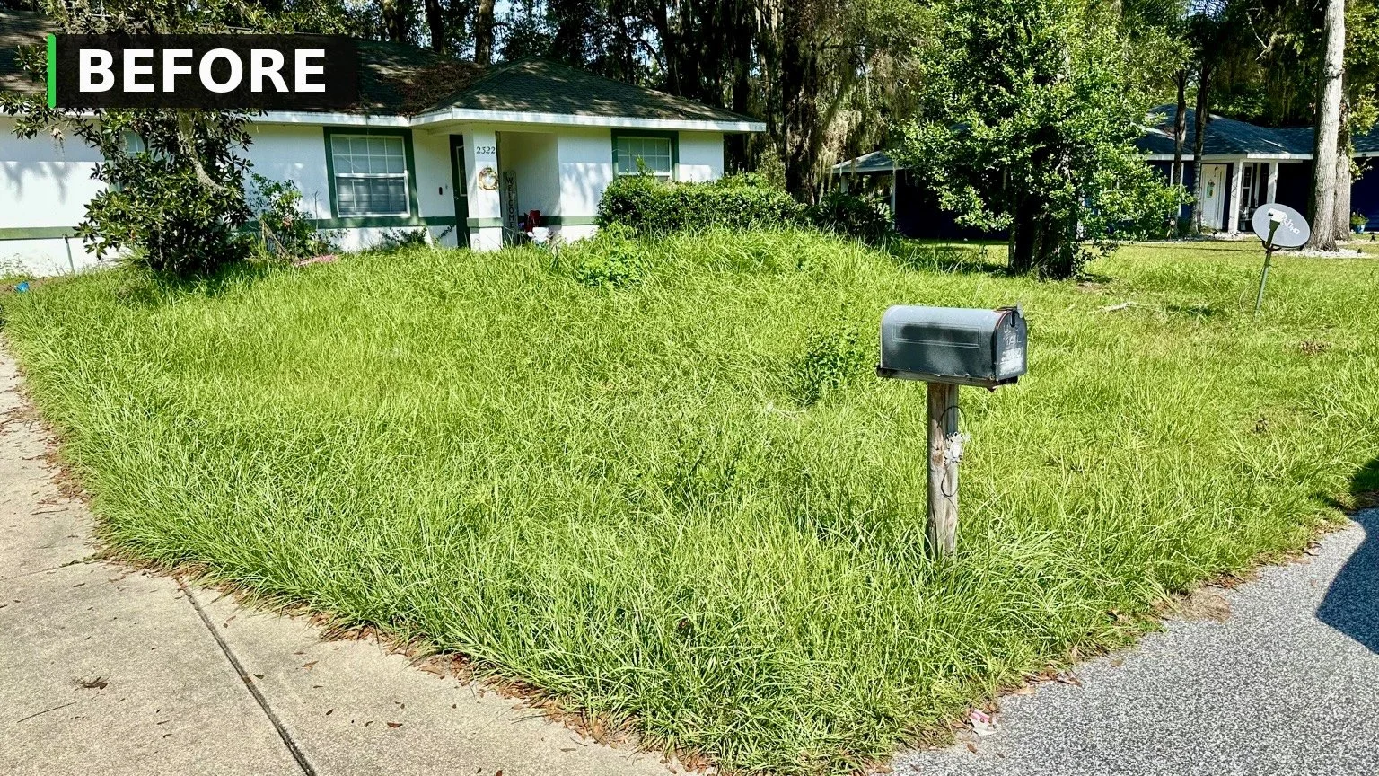 Front yard with overgrown grass, a black mailbox on a wooden post, and a house with green trim and a small porch in the background.