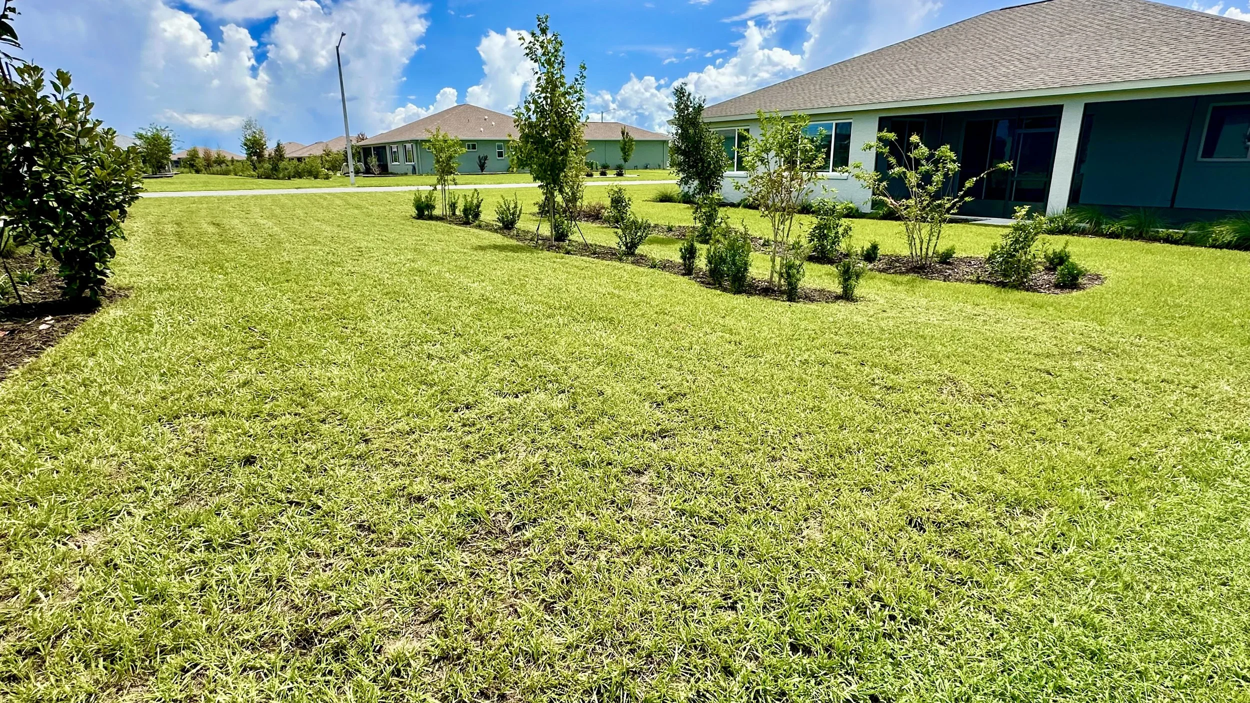 Lawn #4-3.jpeg