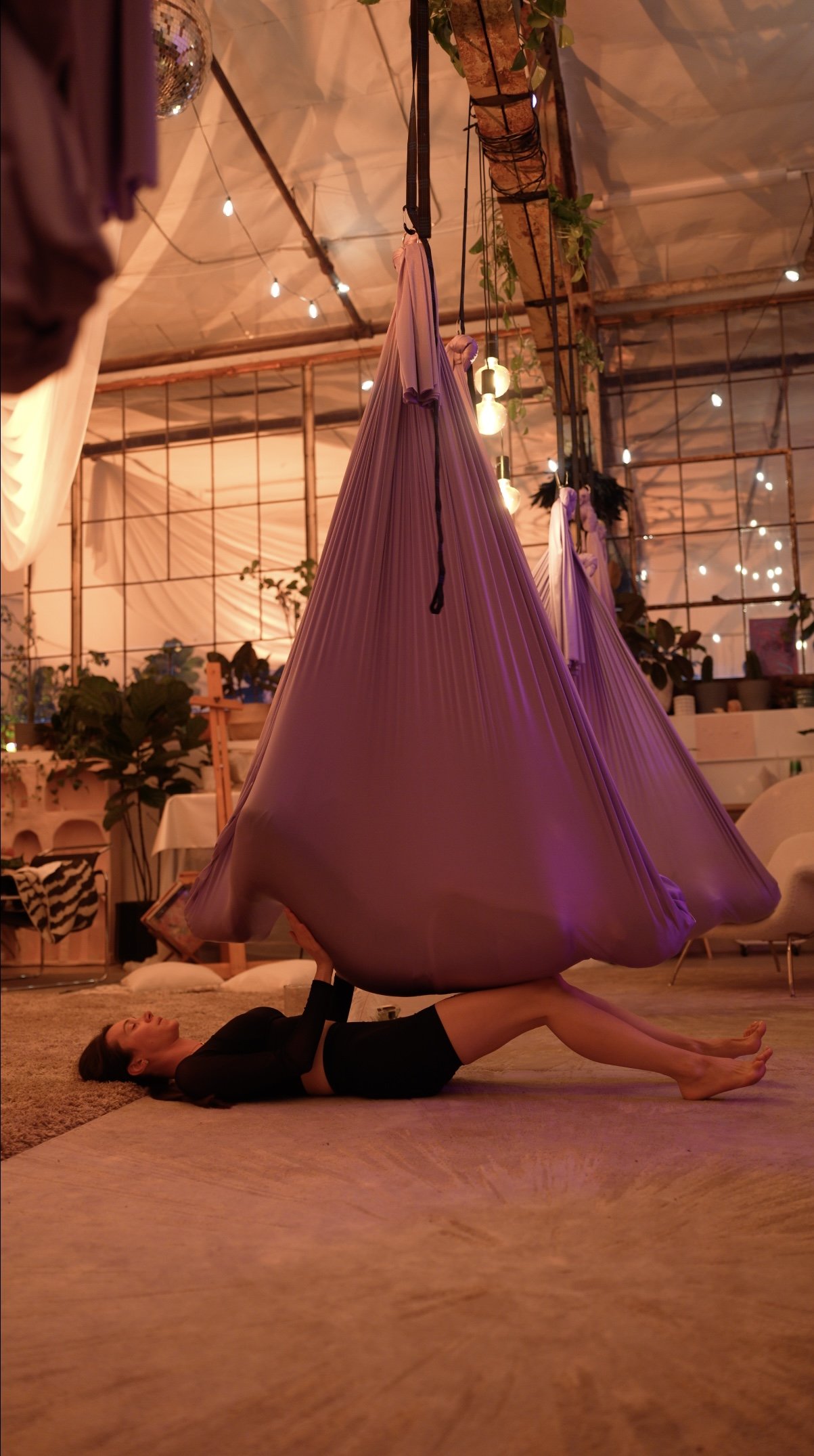 Aerial  Somatic Therapy