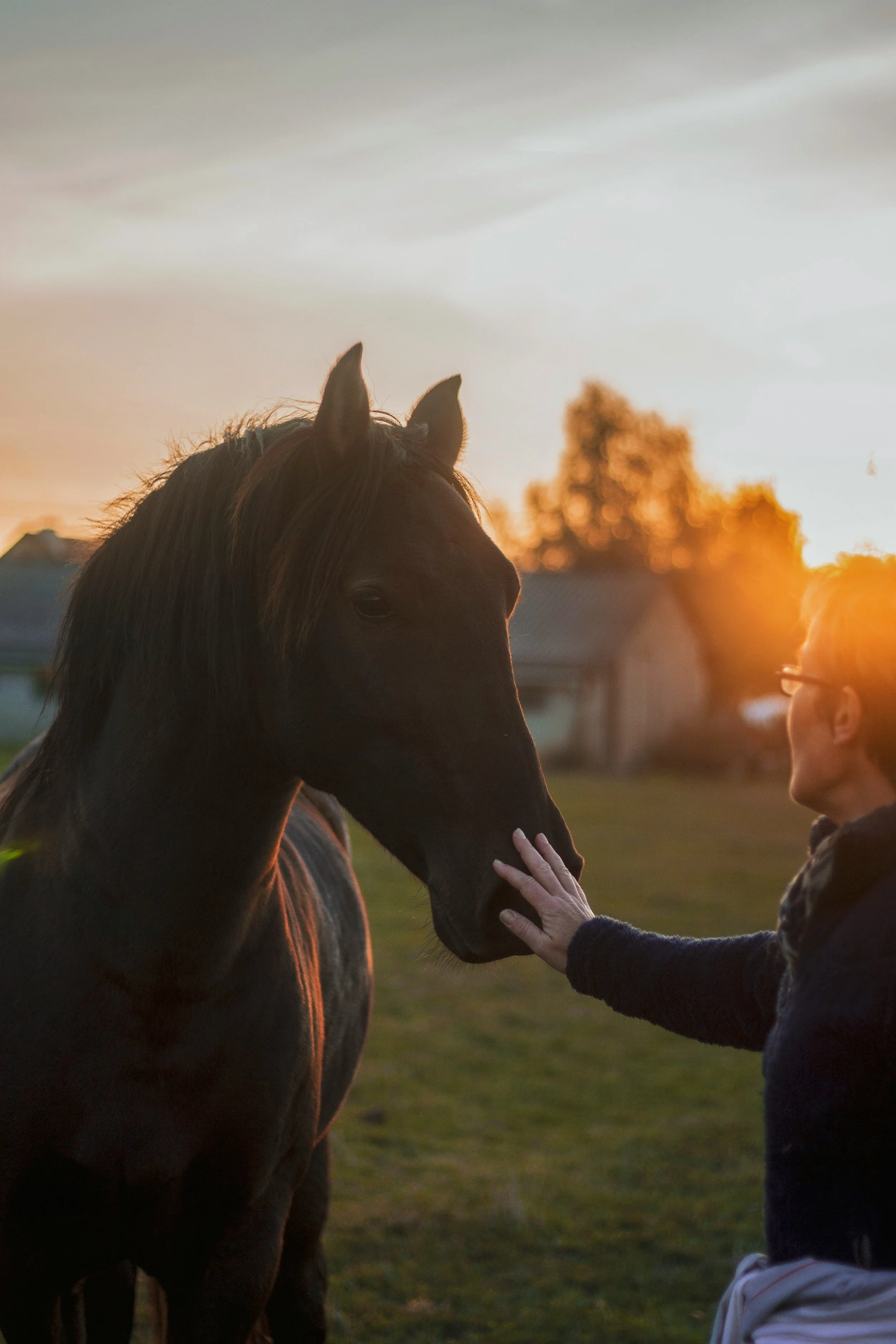 Counseling with Horse Integration Session