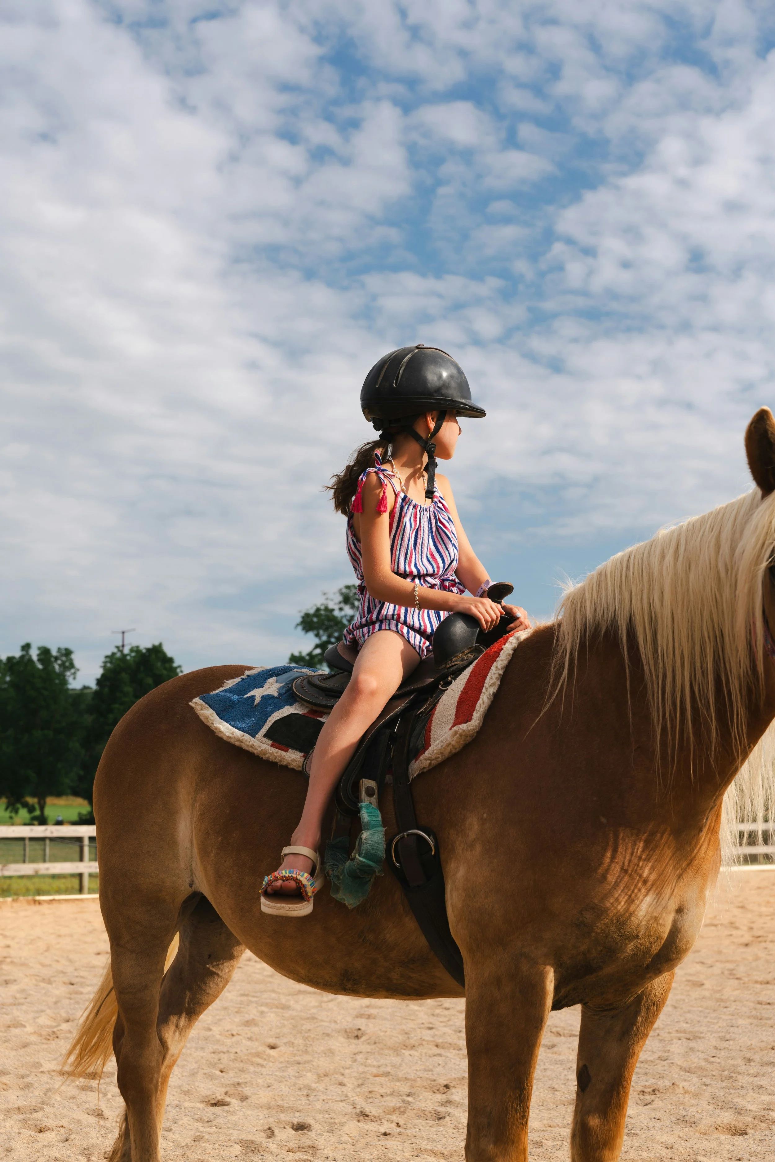 Equine Assisted Therapy Only Session