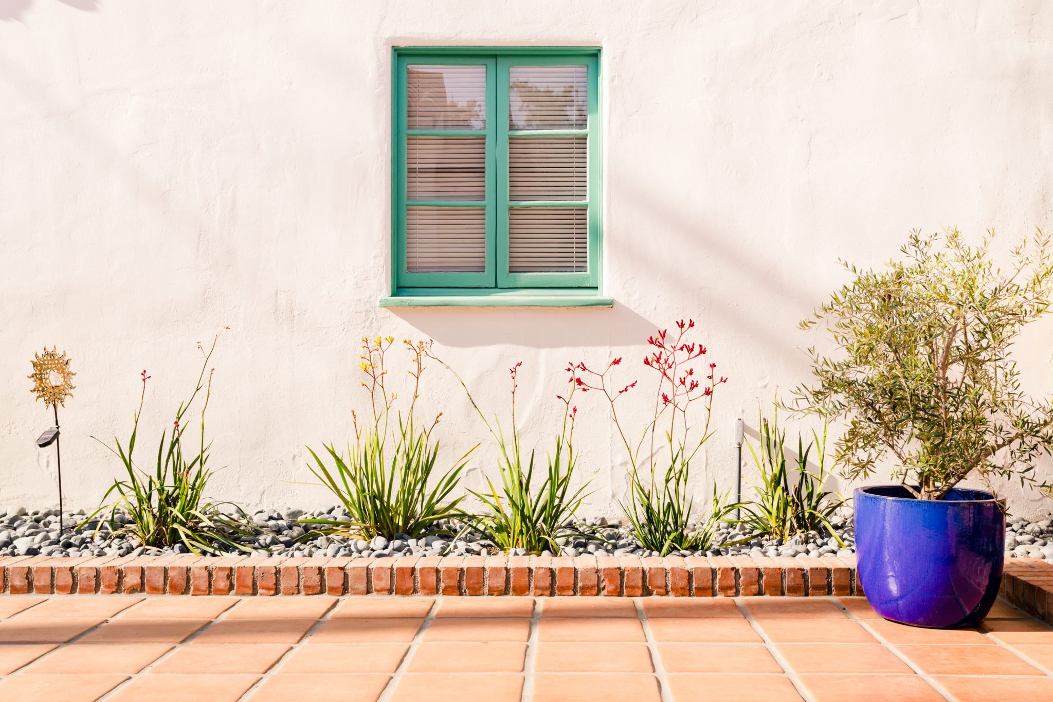 White stucco home wall with a green-trimmed window and drought-tolerant landscaping