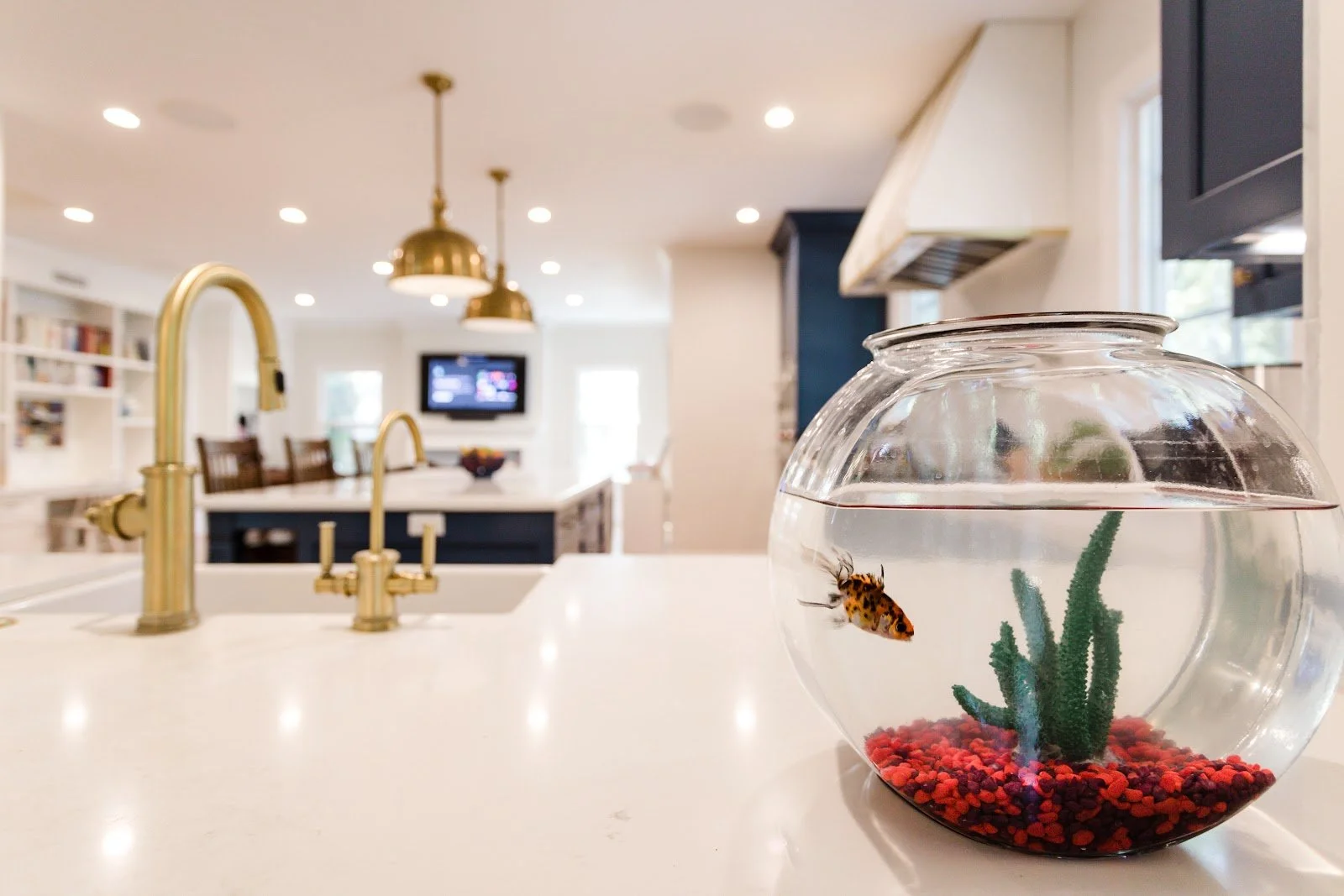 Hinkley House kitchen with white cabinetry, brass fixtures and a fishbowl centerpiece