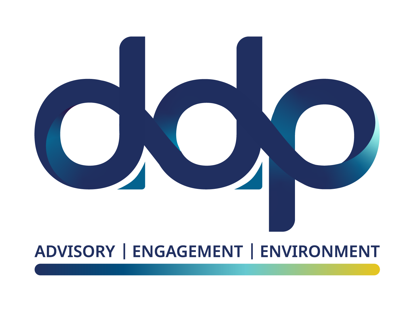 DD Project Consulting