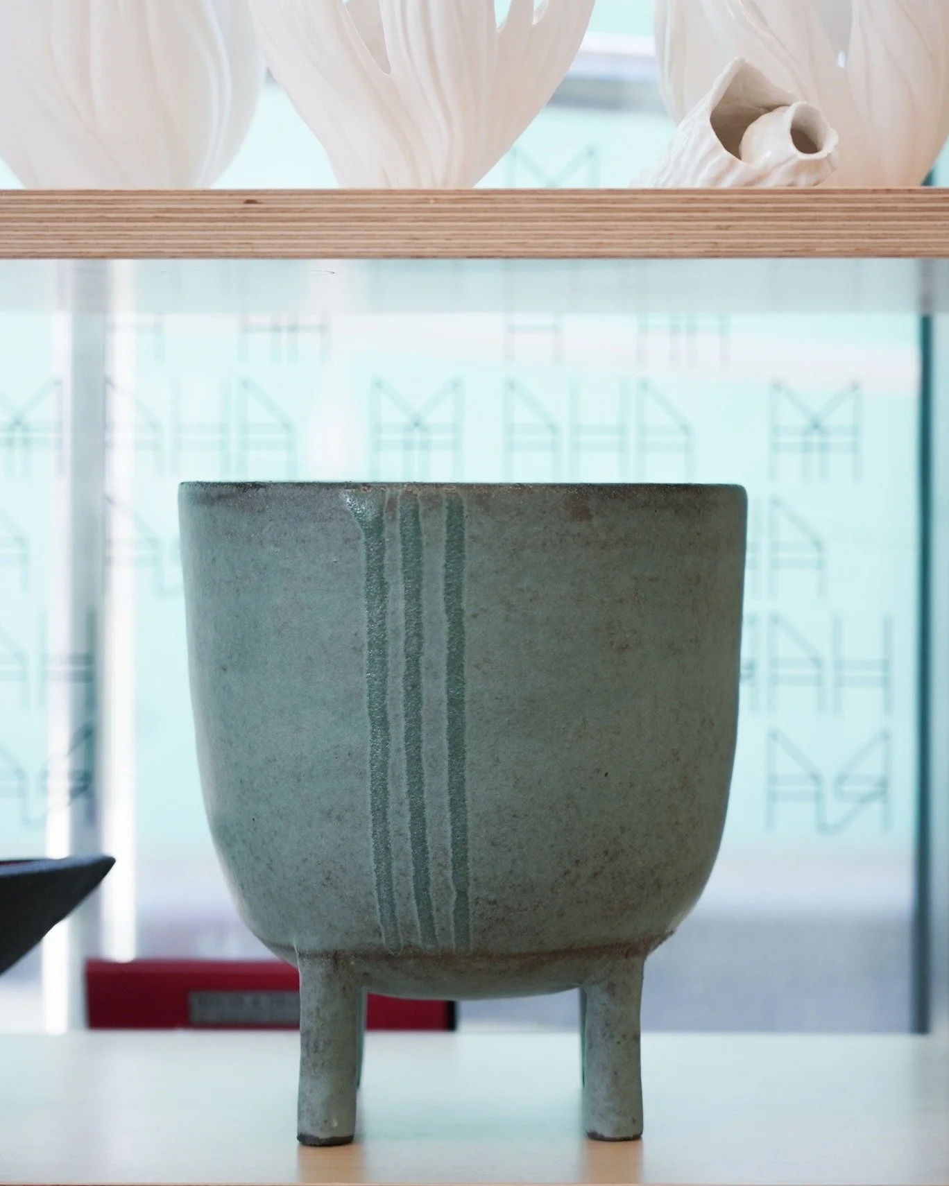 Have you ever wandered into Toi MAHARA? You likely already know the gallery is there; the stunning architecture, the exhibitions, the creative vibes, but what a lot of locals don&rsquo;t realise is that tucked inside is a seriously cool little hub of