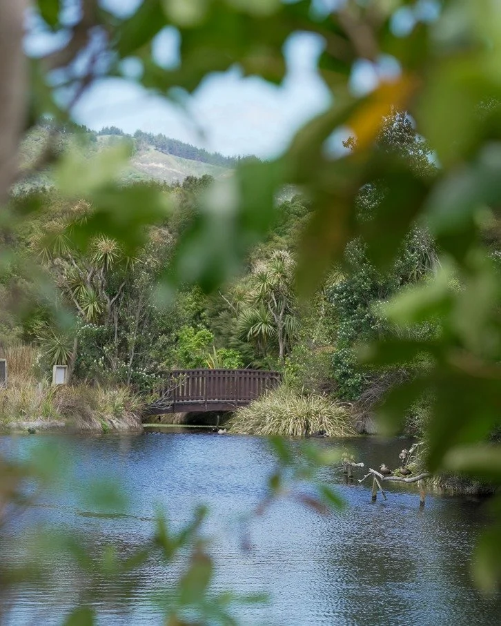 Today&rsquo;s wander takes us to Ngā Manu Nature Reserve, a place many people have heard of, but not everyone has actually explored.

If you&rsquo;re new to it: Ngā Manu is a 14-hectare wildlife reserve full of native birds, wetlands, bush tracks, ee