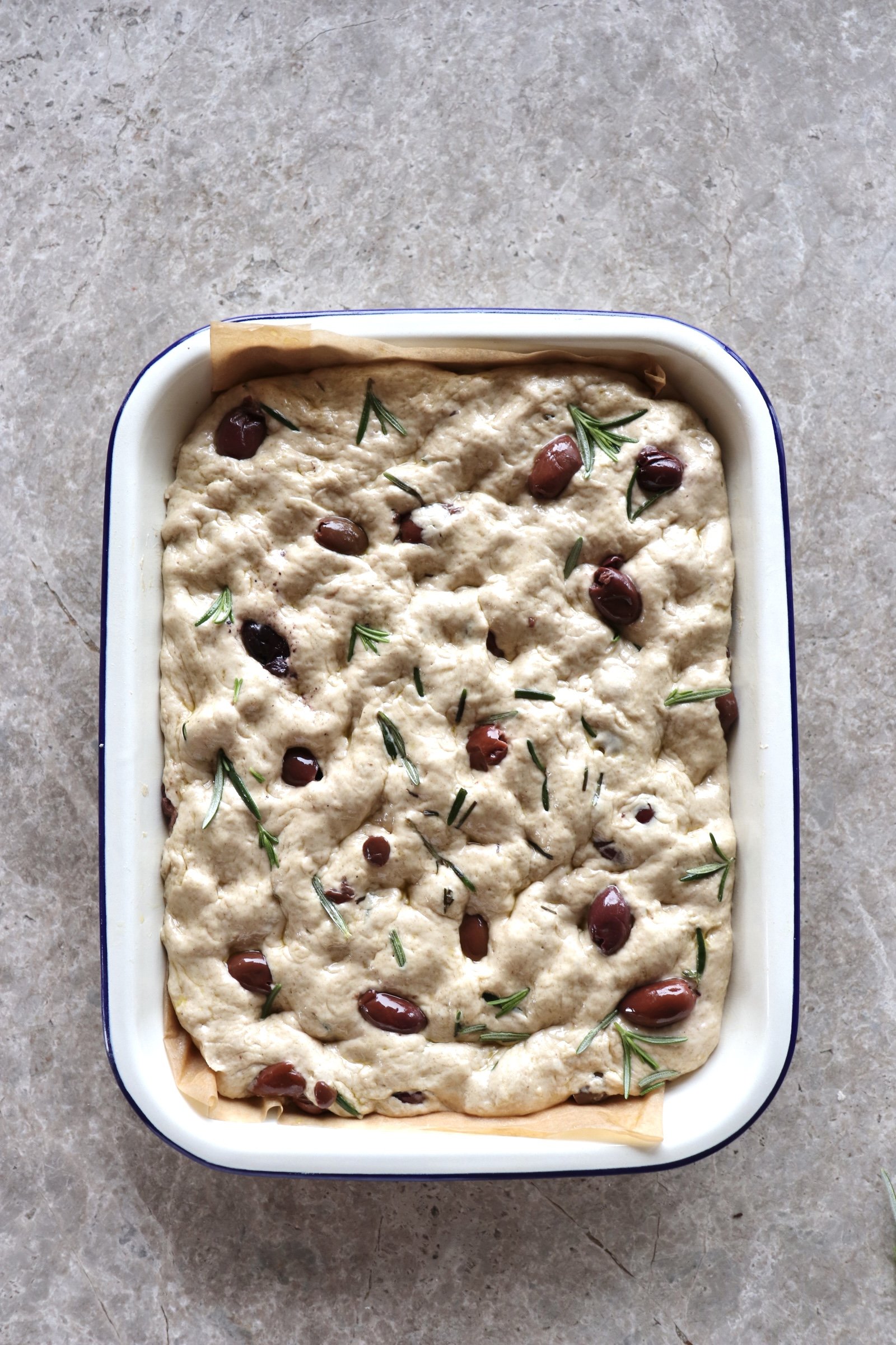 A rectangular dish of uncooked bread dough topped with green herbs and black olives, with parchment paper lining the sides of the dish, placed on a beige countertop.