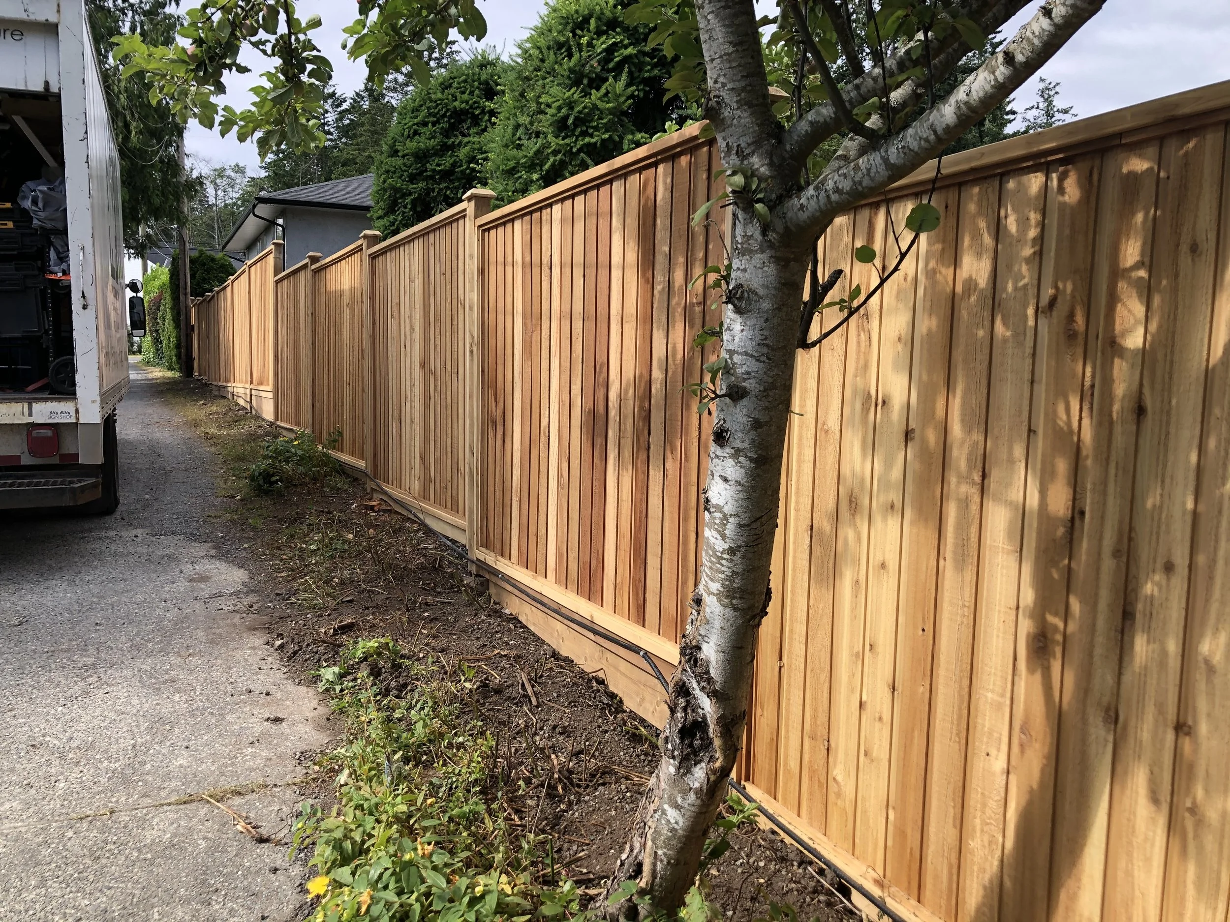 A wooden fence runs along a gravel alleyway with a tree in the foreground. A house with a dark roof and tall greenery is in the background.