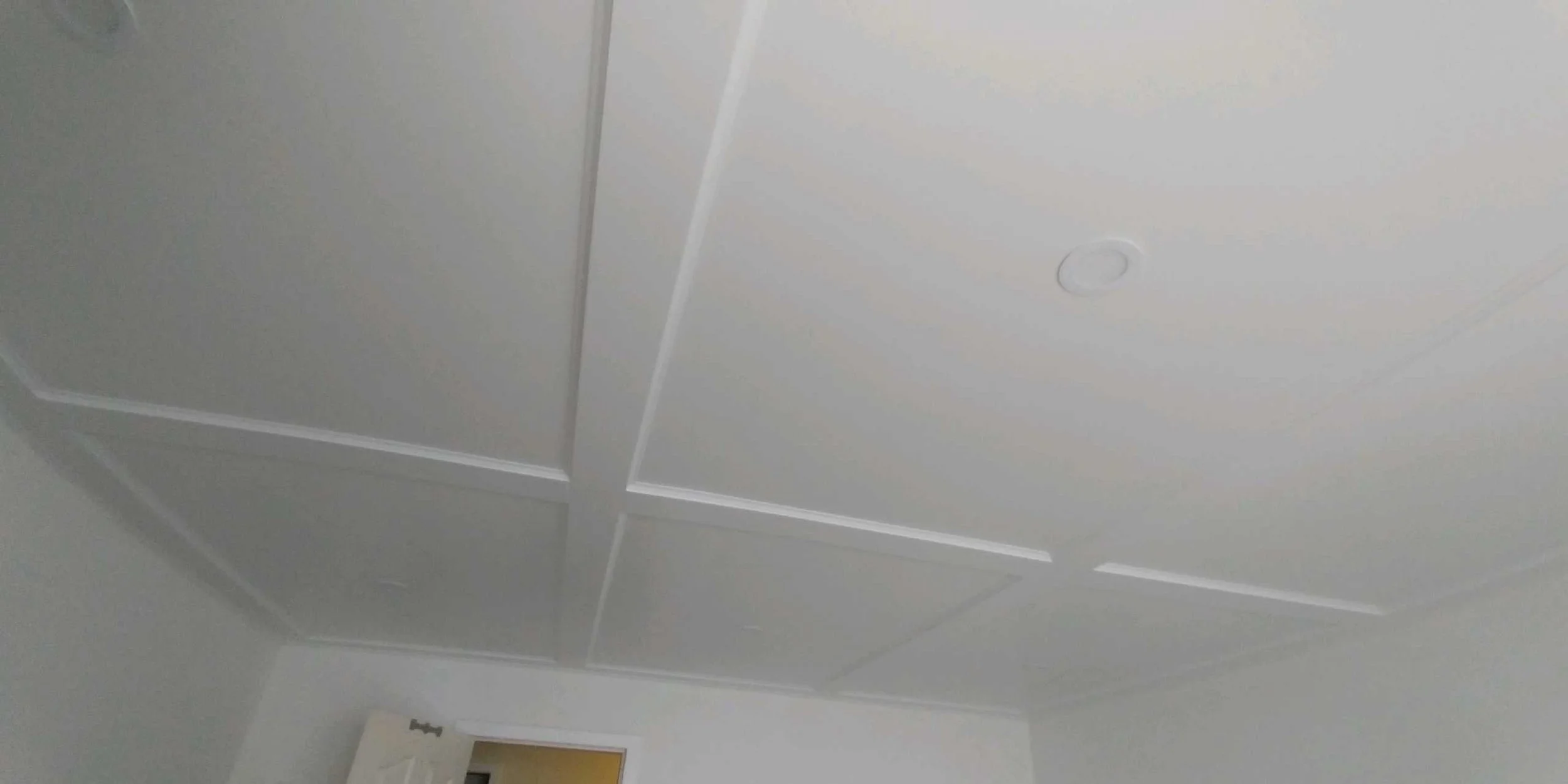 Ceiling with decorative molding and a small, circular light fixture.