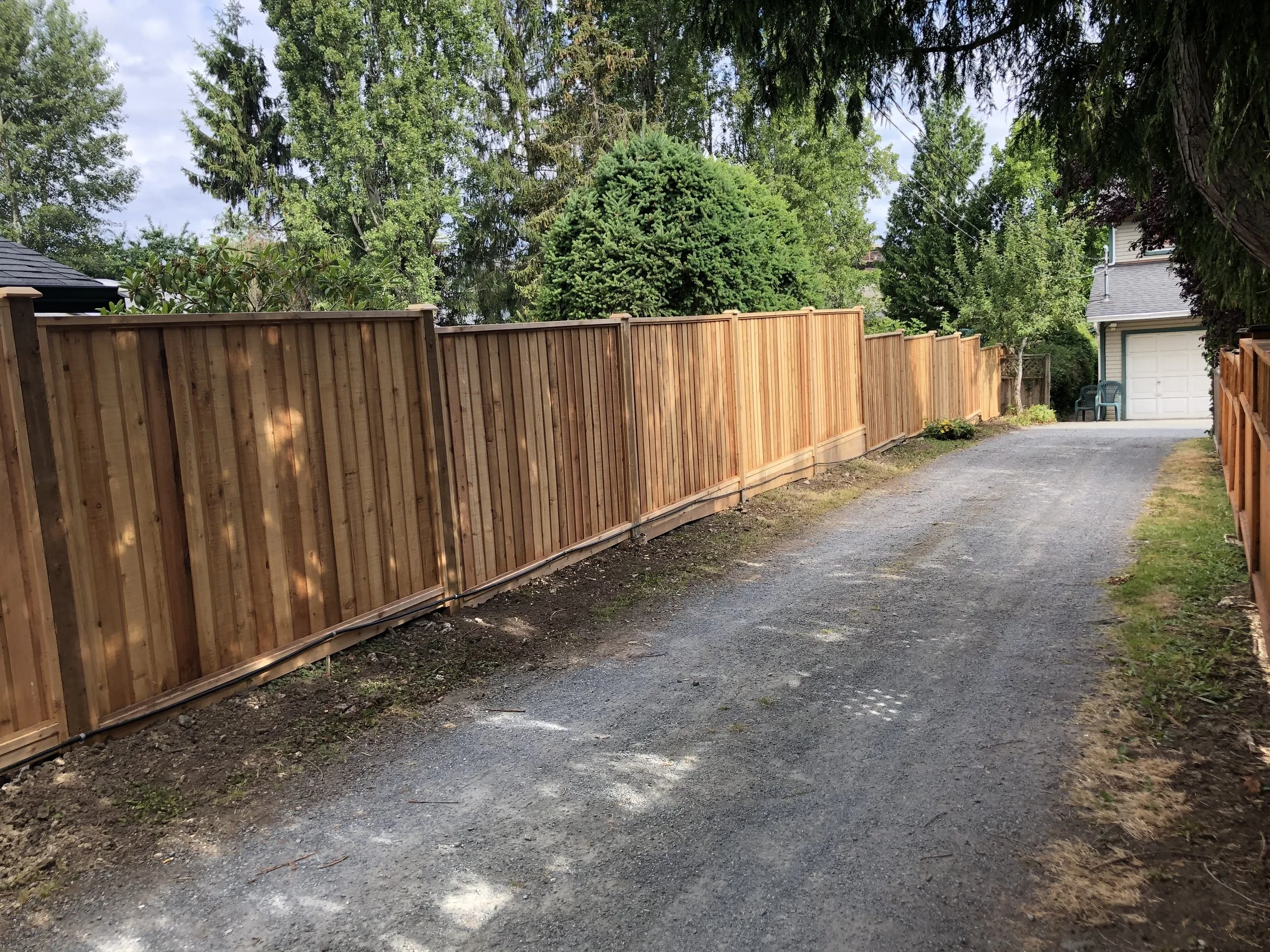A wooden privacy fence running along the edge of a gravel driveway in a residential neighborhood, with tall green trees in the background and a blue sky overhead.